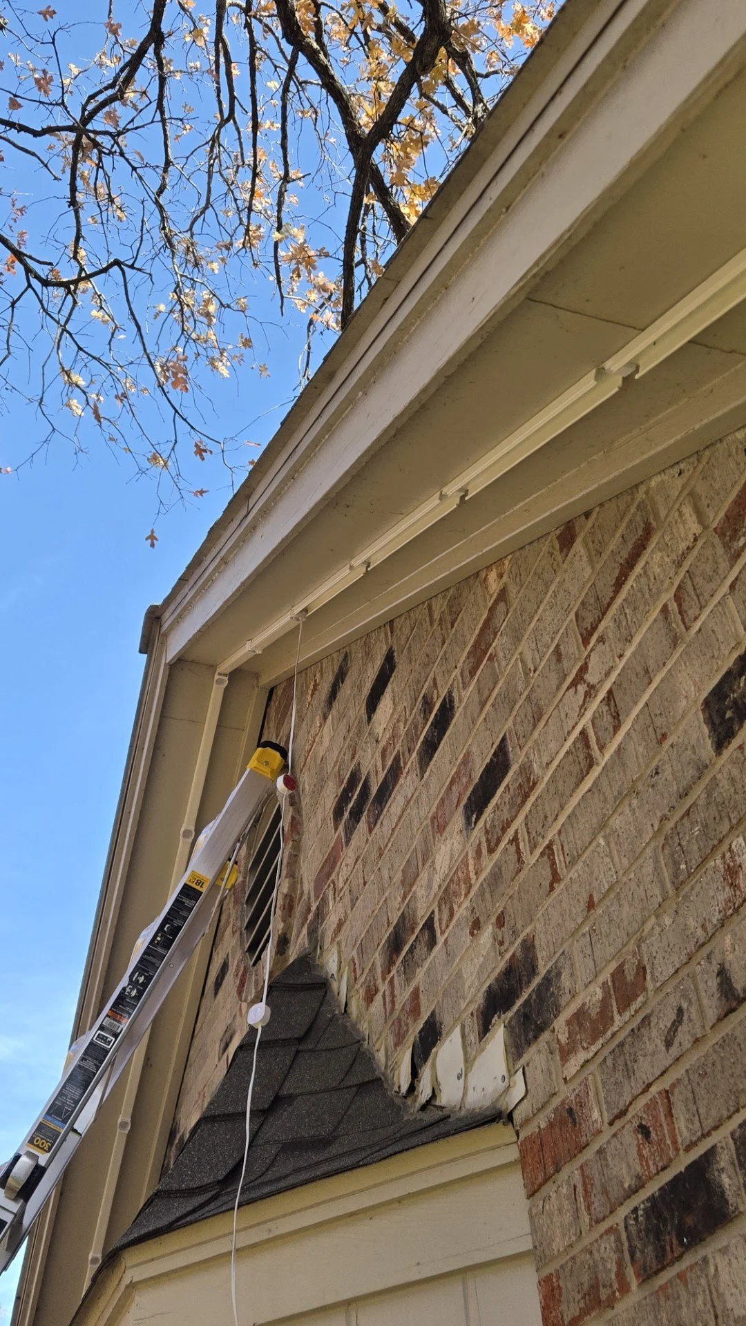 Exterior of a house with brick wall, a ladder, and a missing piece of siding near the roofline, with a blue sky and tree branches with leaves above.