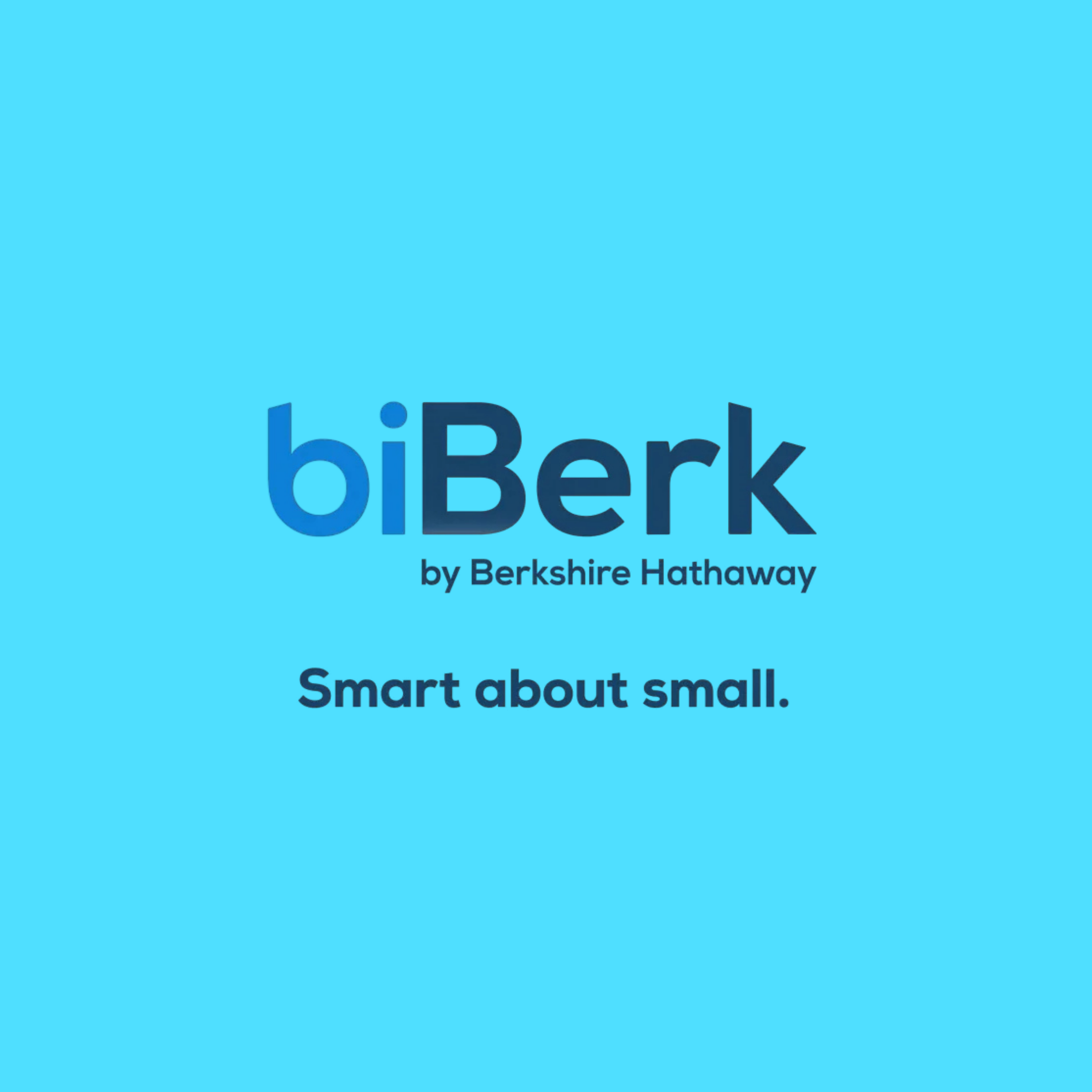 Book cover titled 'biBerk' by Berkshire Hathaway with the subtitle 'Smart about small' on a blue background.