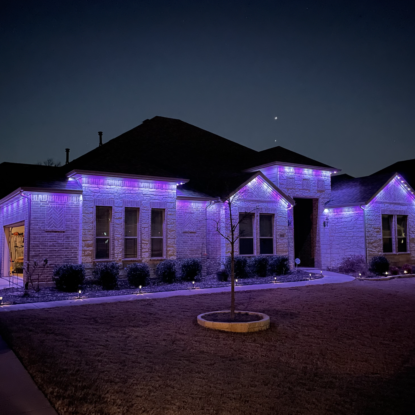 A house illuminated with purple holiday lights at night, with a small tree in the front yard and a pathway lined with outdoor lights.