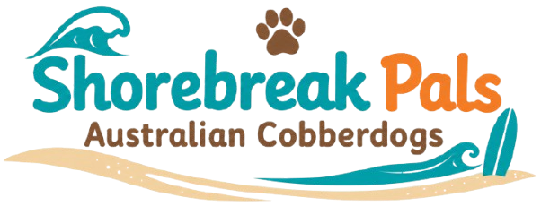 Shorebreak Pals Australian Cobberdogs