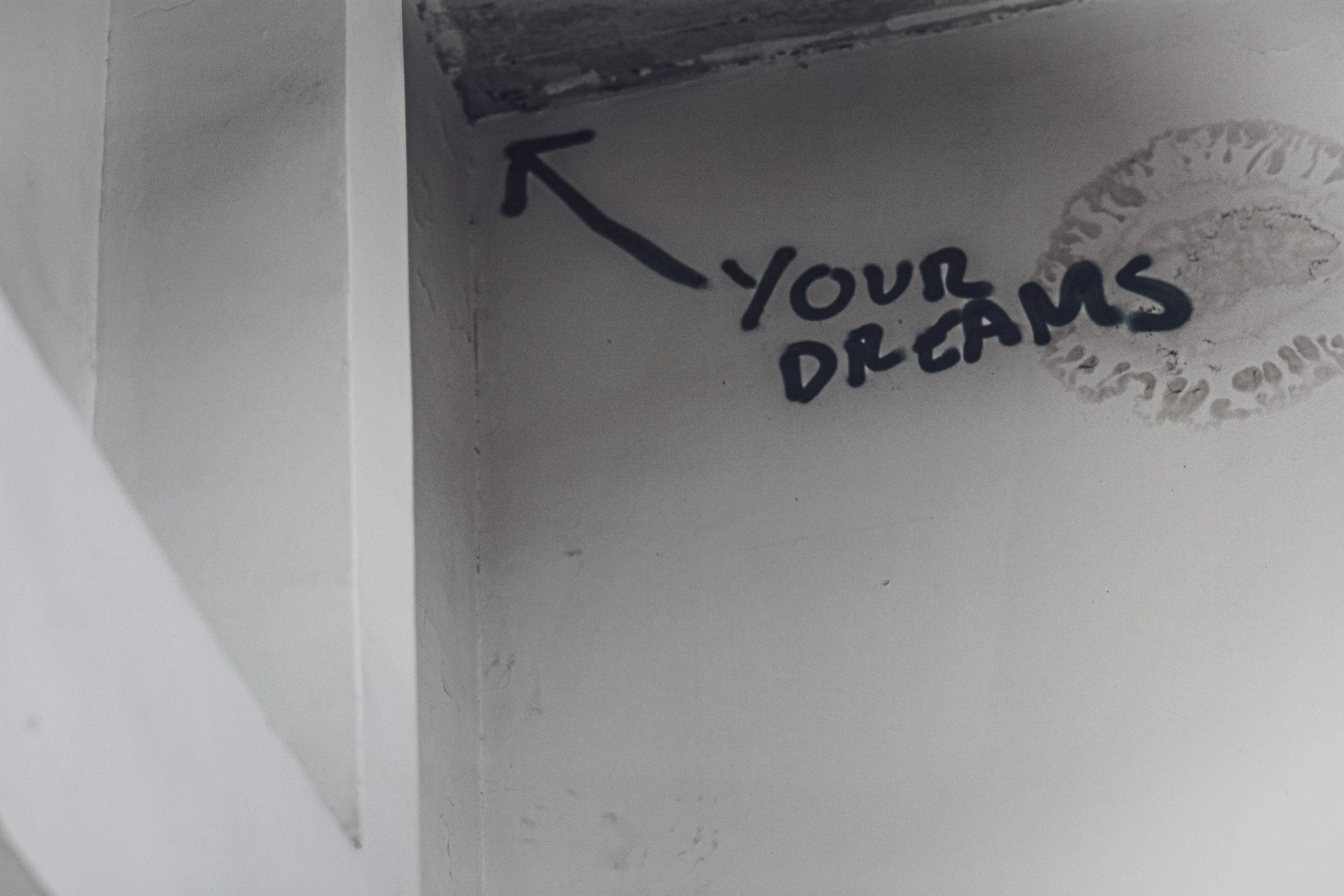 _0123589 2.JPG