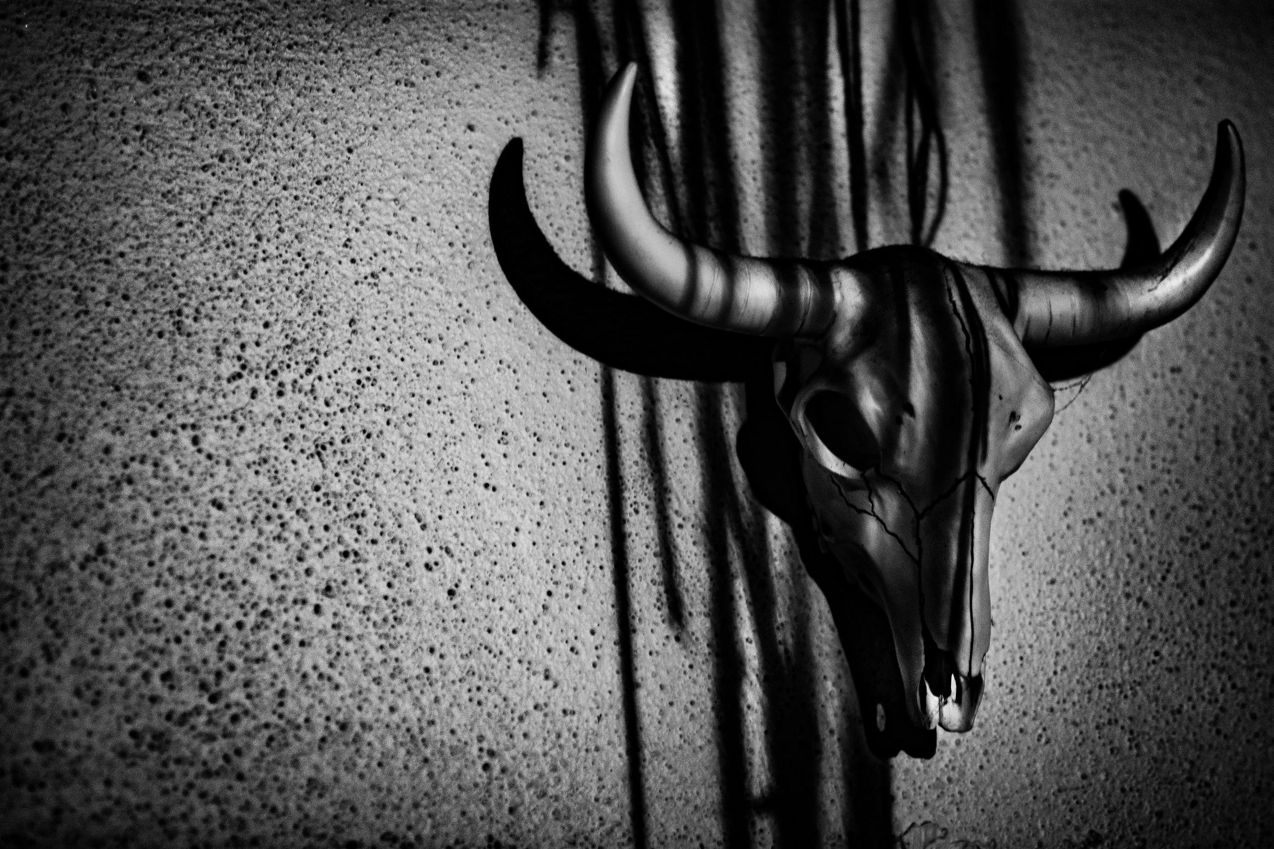 _0120157 3.JPG