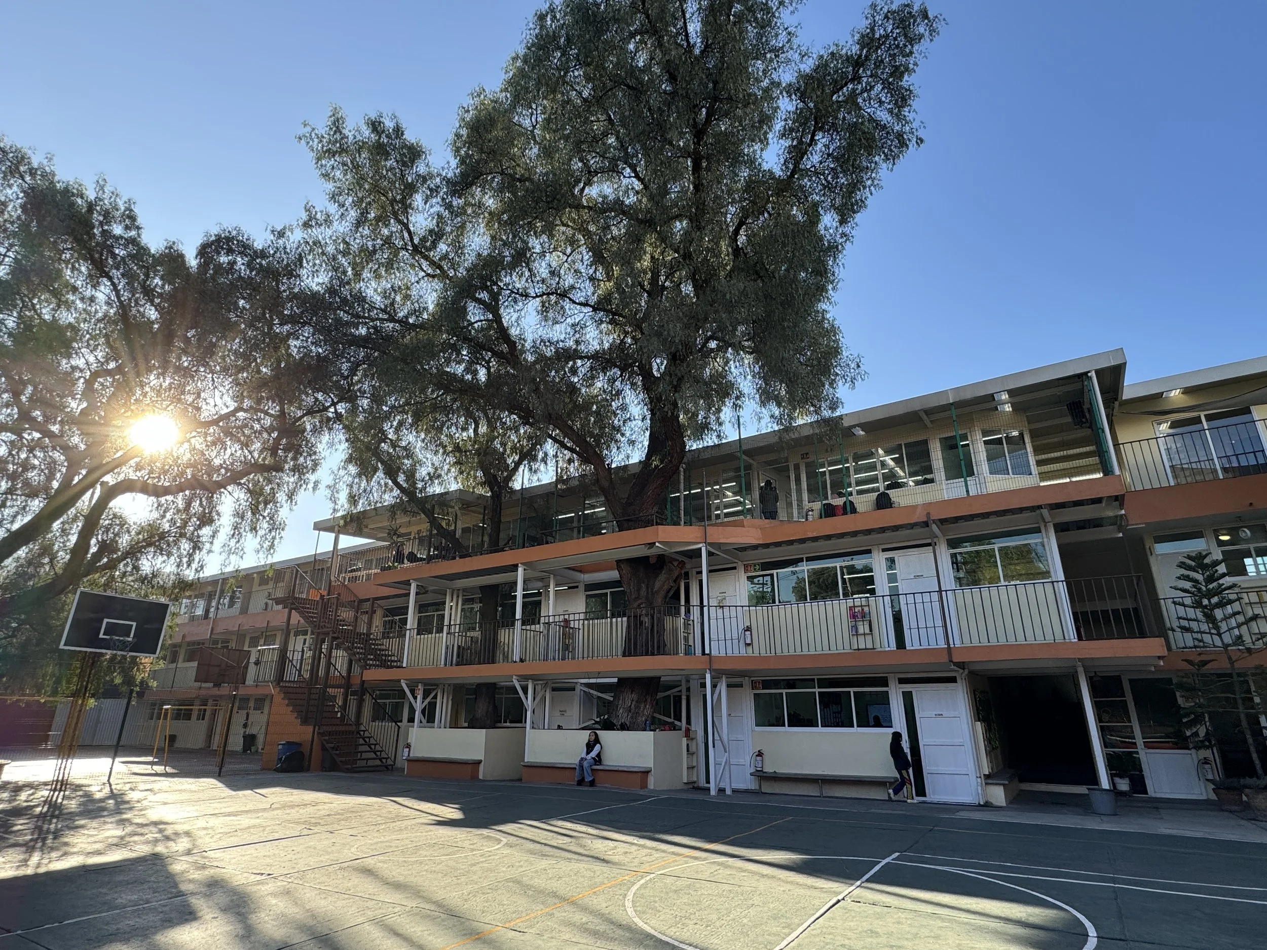 Escuela con aulas y pasillos en medio de un patio, con árboles grandes y un cancha de baloncesto, en un día soleado.