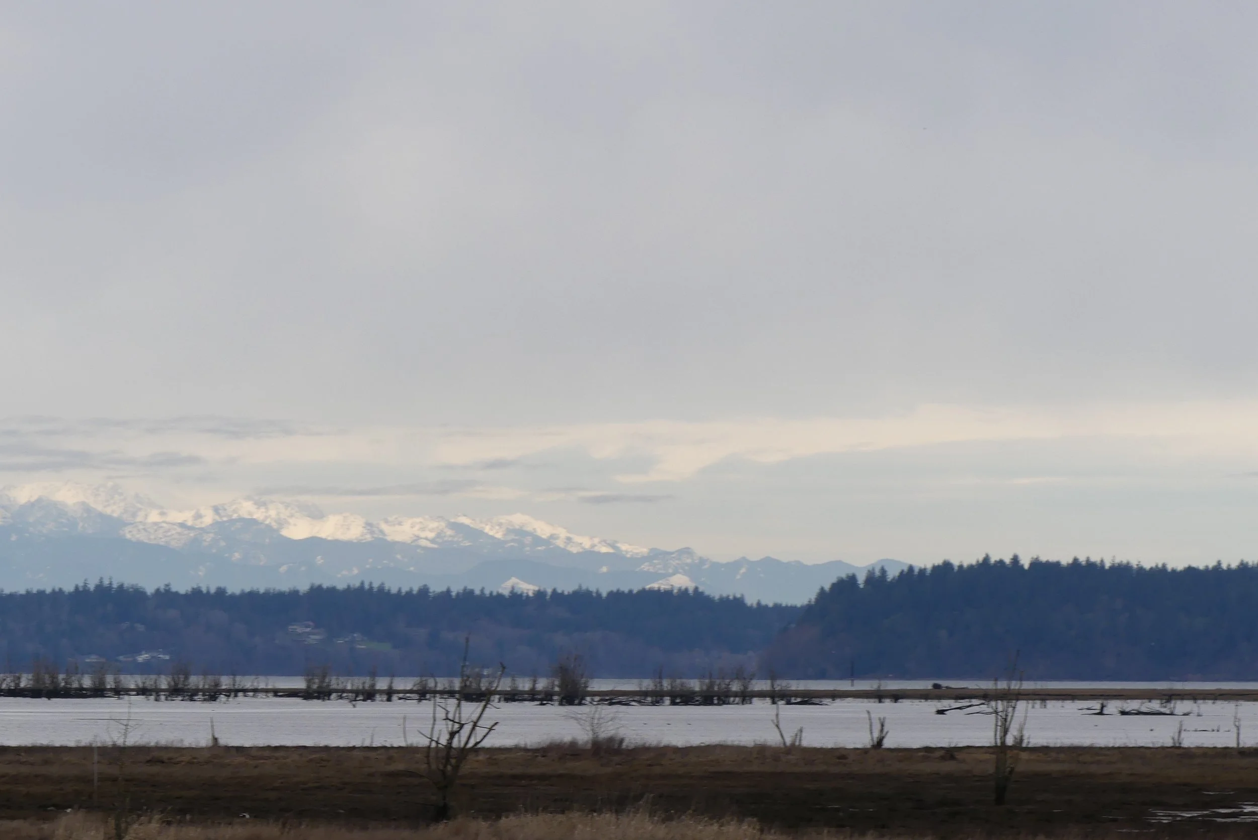 Togetherness at Nisqually