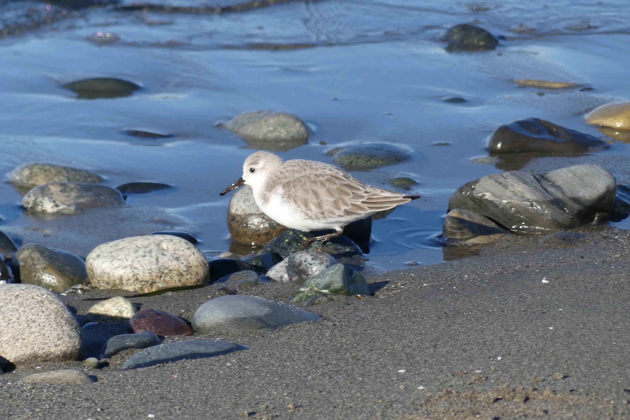 Ten Feet from the Tide Line