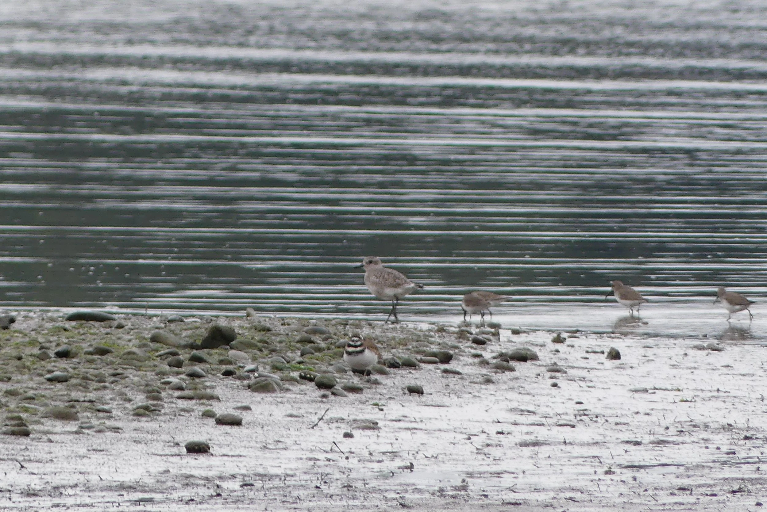 Discovering Chico Creek