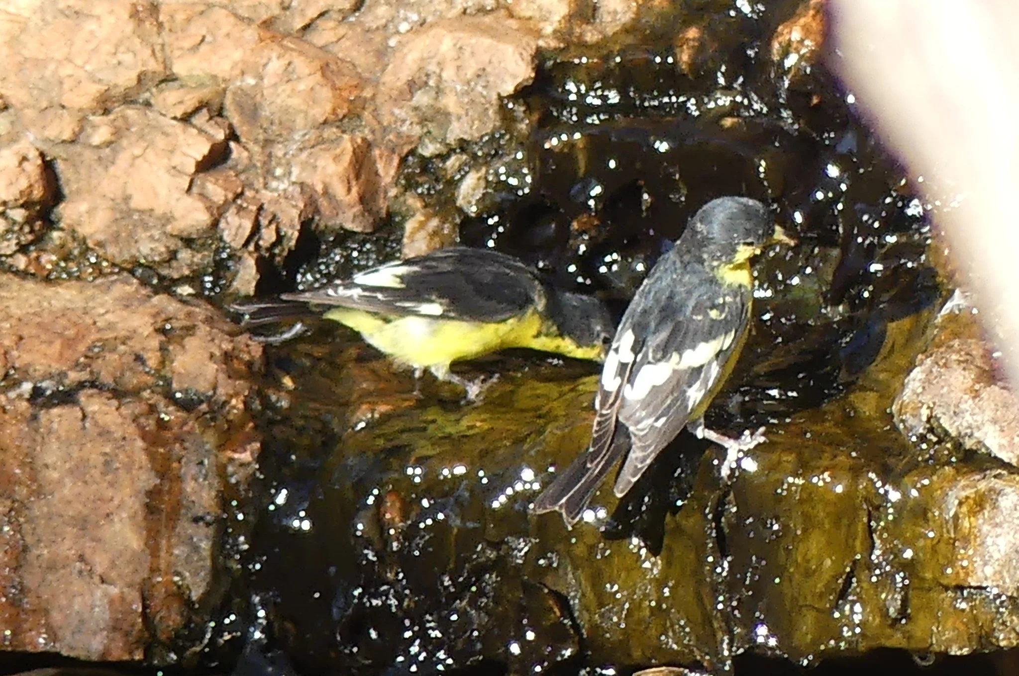 Where Old Ground Becomes New Again