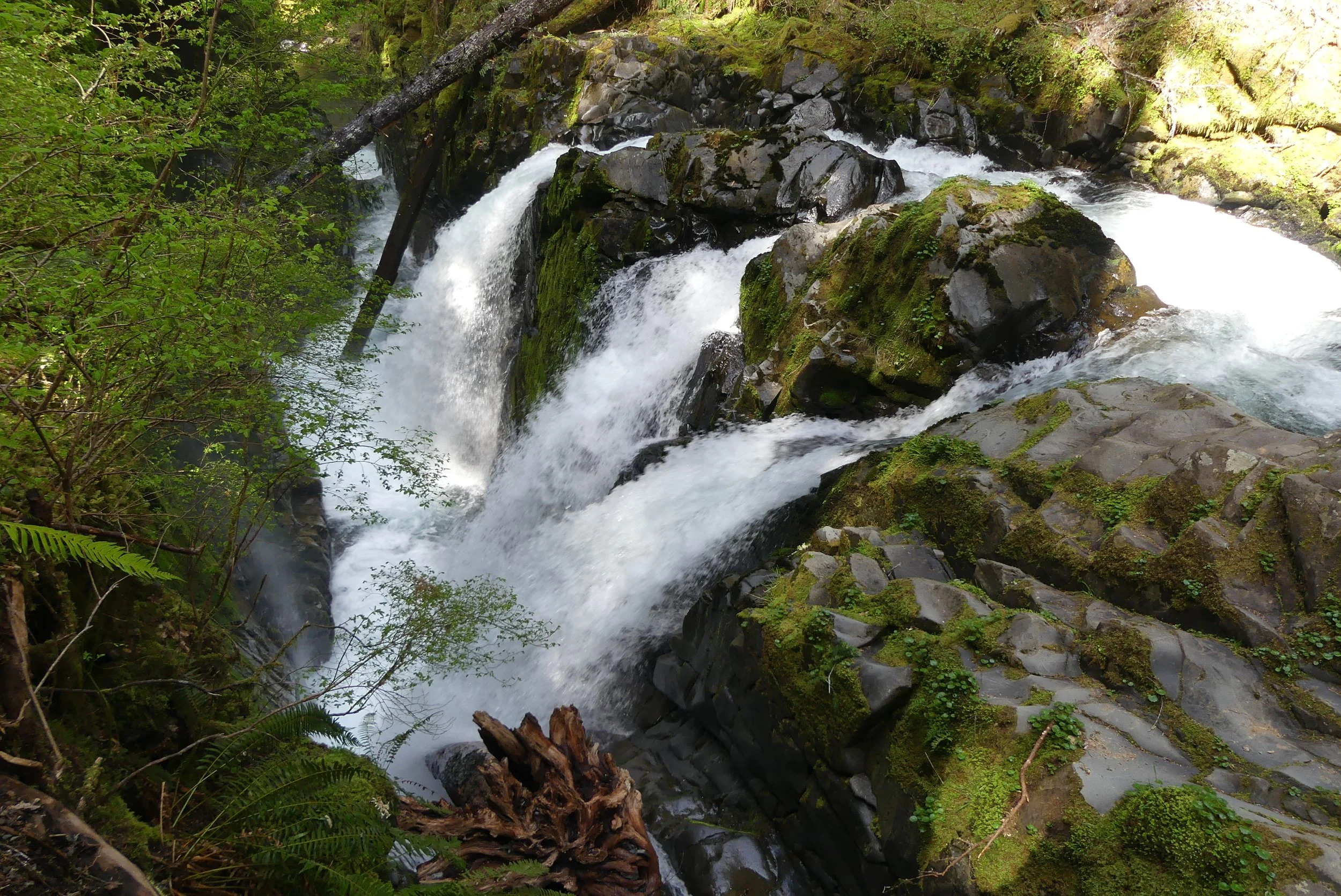 Sol Duc Falls