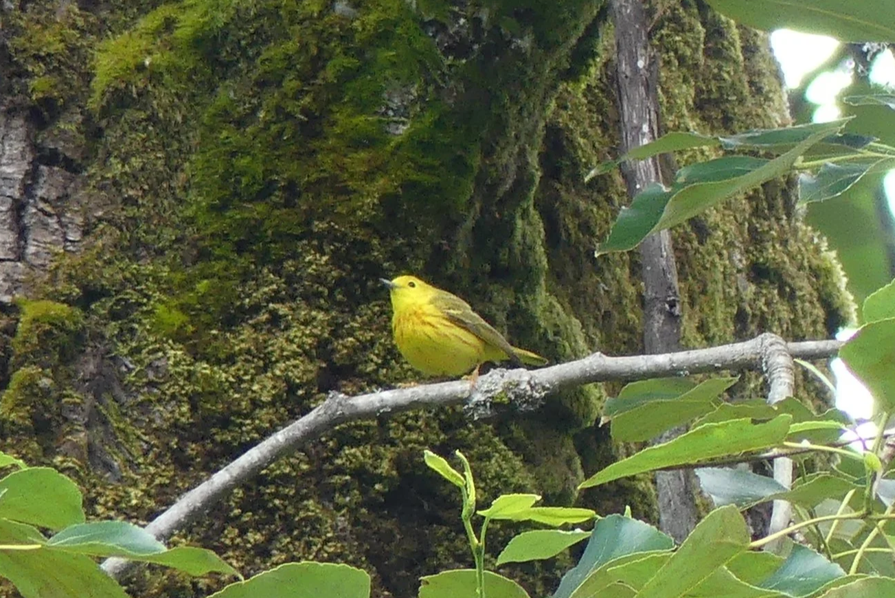 P1370535.png