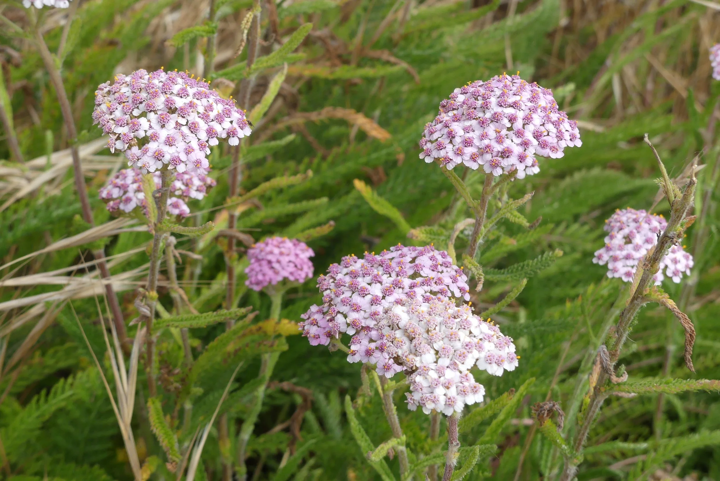 P1380258.JPG