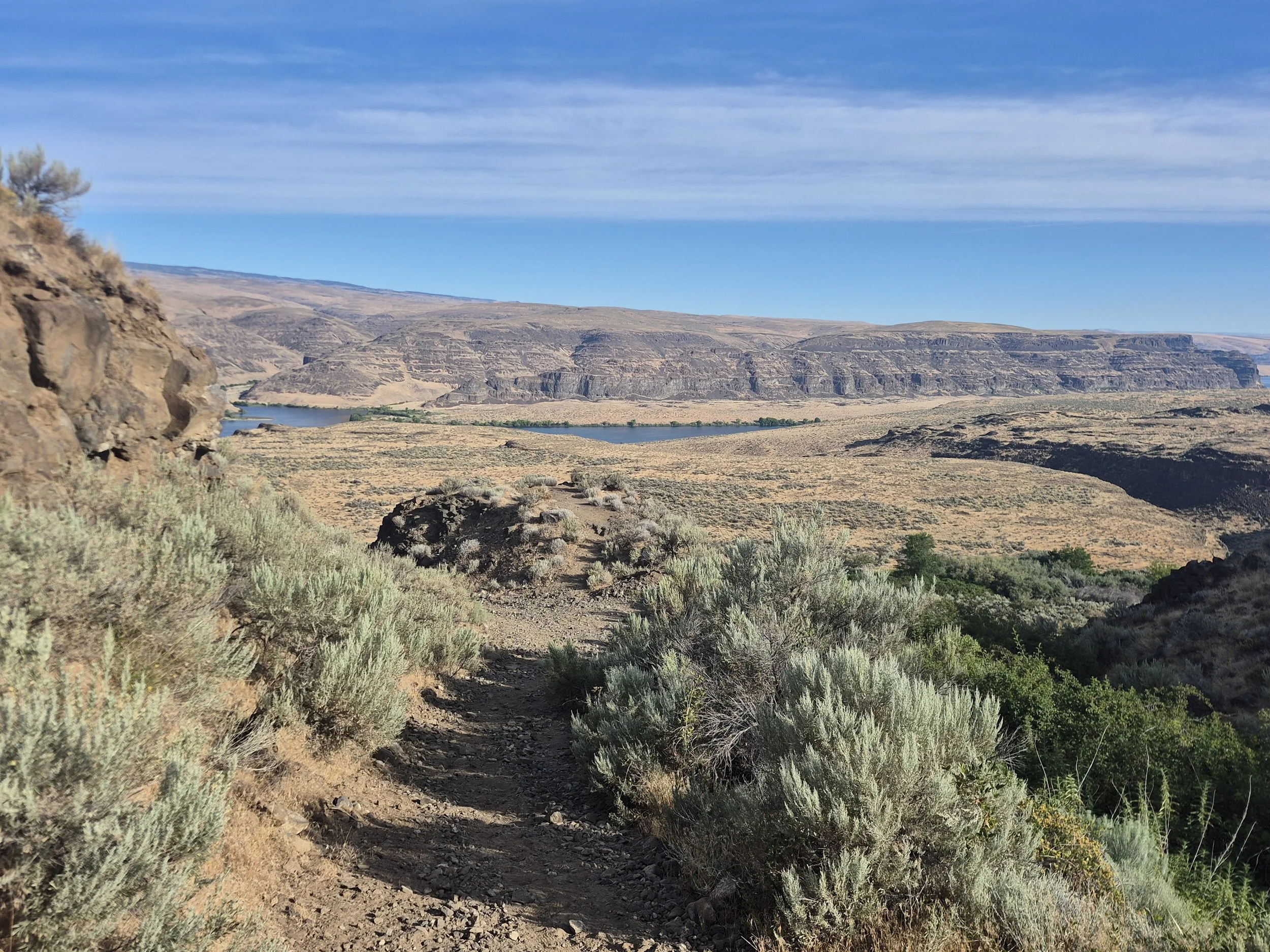 A New Side of Washington
