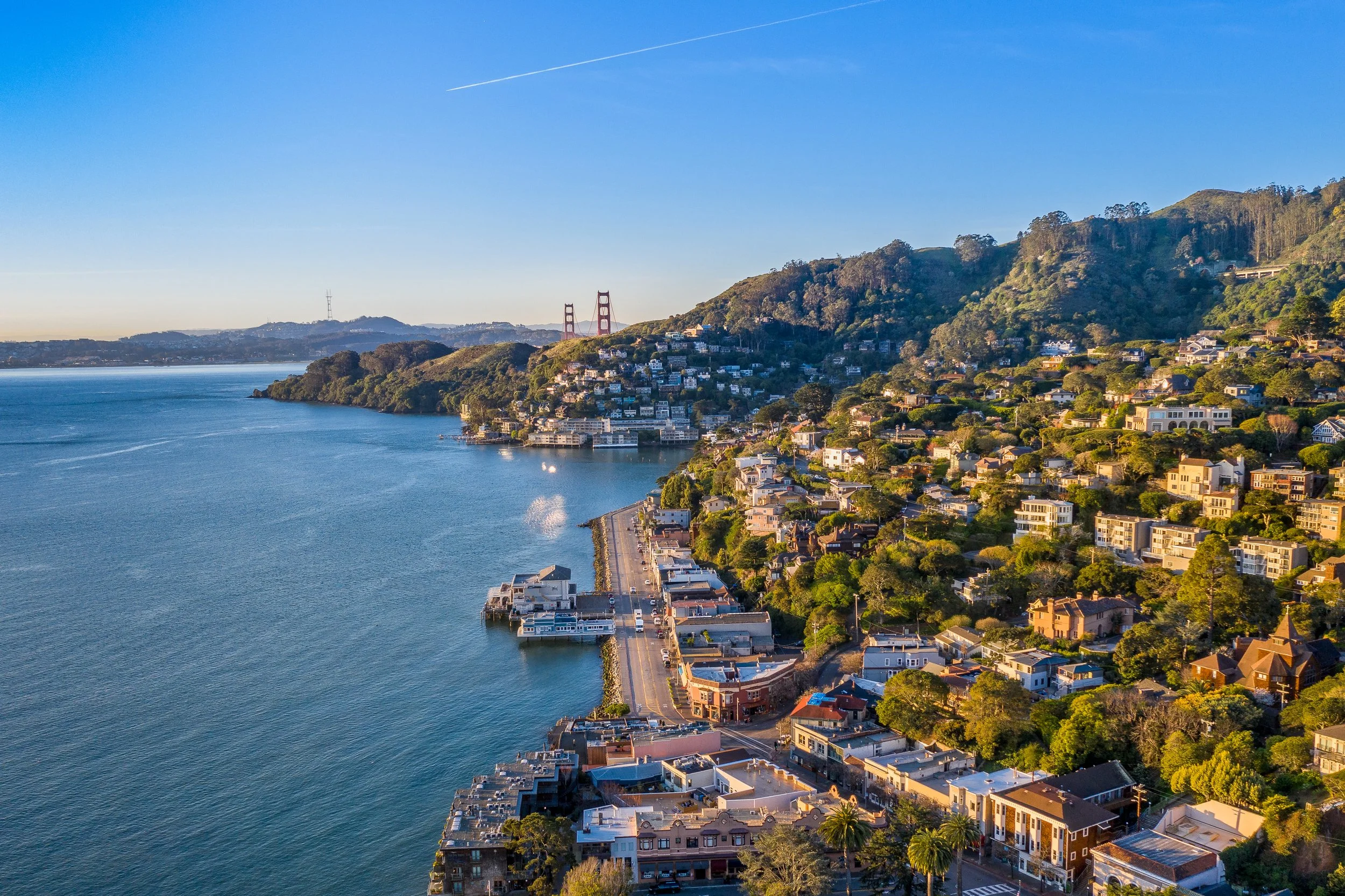 Aerial view of a coastal city with houses on hills, a harbor, and the Golden Gate Bridge in the distance under a clear blue sky.