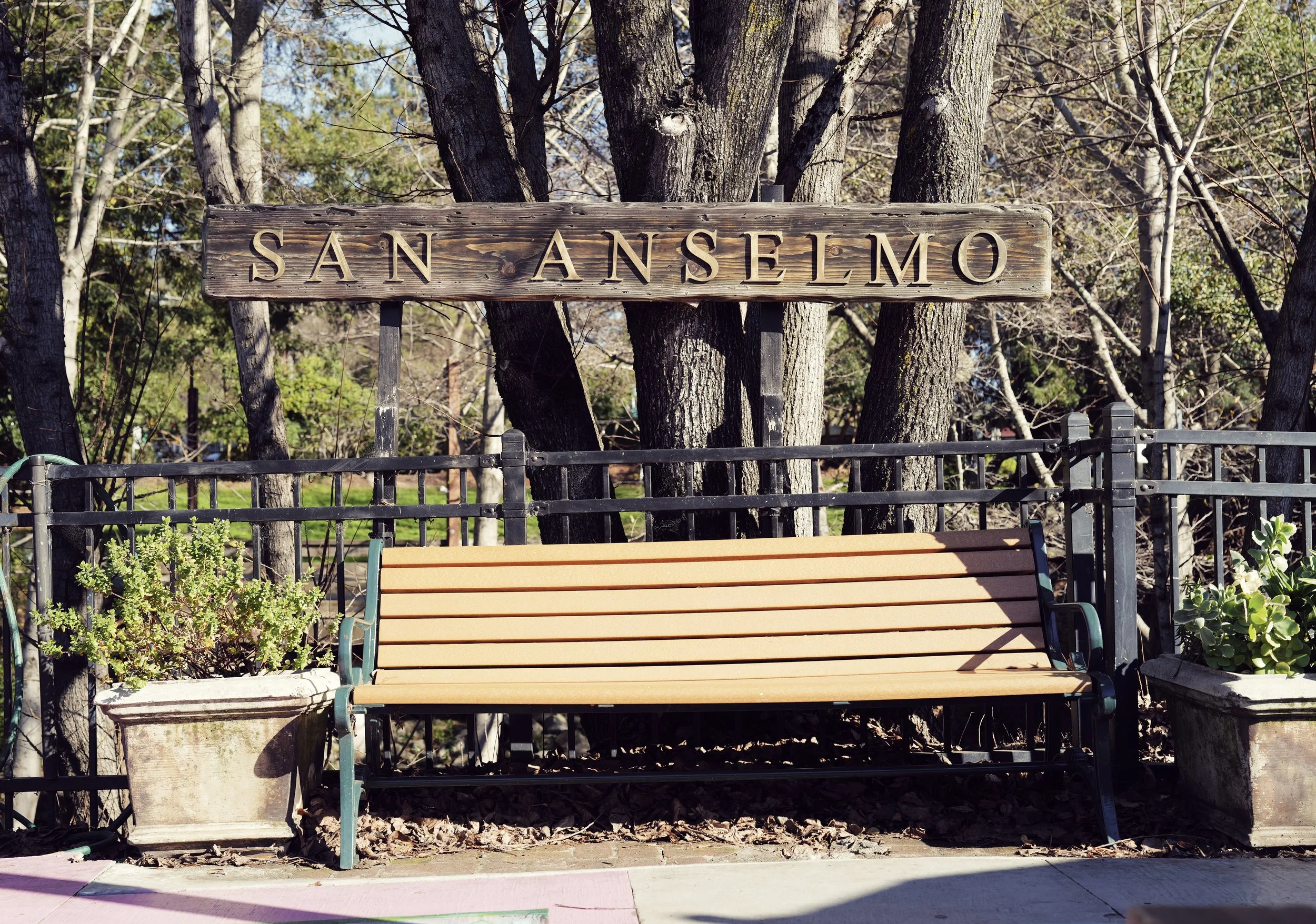 A wooden bench with green metal armrests and a backrest, positioned in front of a black metal fence, with potted plants on both sides, and a large wooden sign with the words 'San Anselmo' mounted on tree trunks behind the bench.