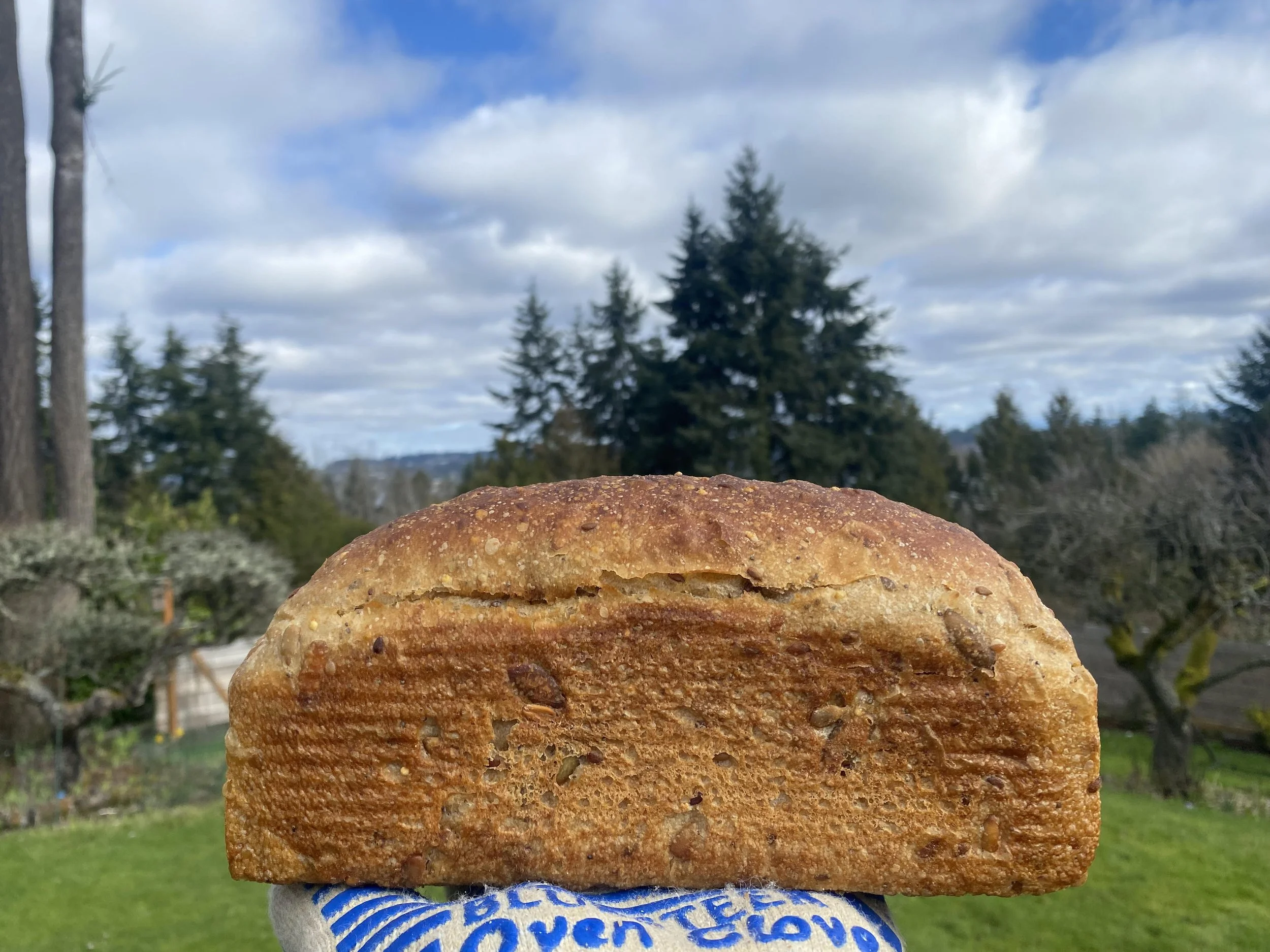 Multigrain Sandwich Loaf