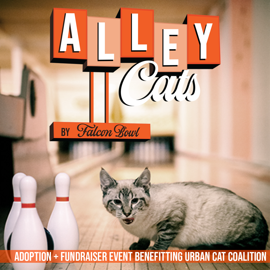 ALLEY CATS ADOPTION &amp; FUNDRAISER EVENT