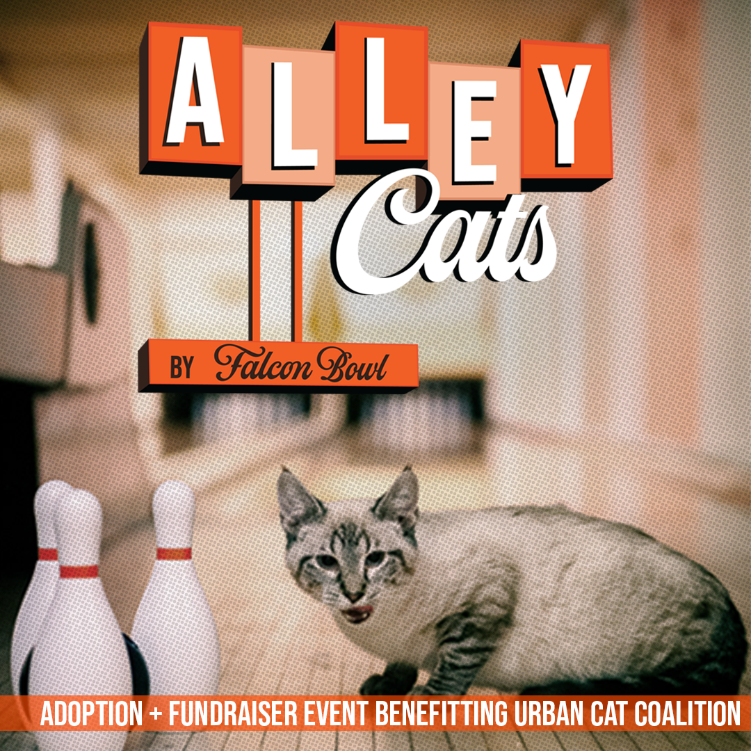 Alley-Cats-FlyerSQUARE.png