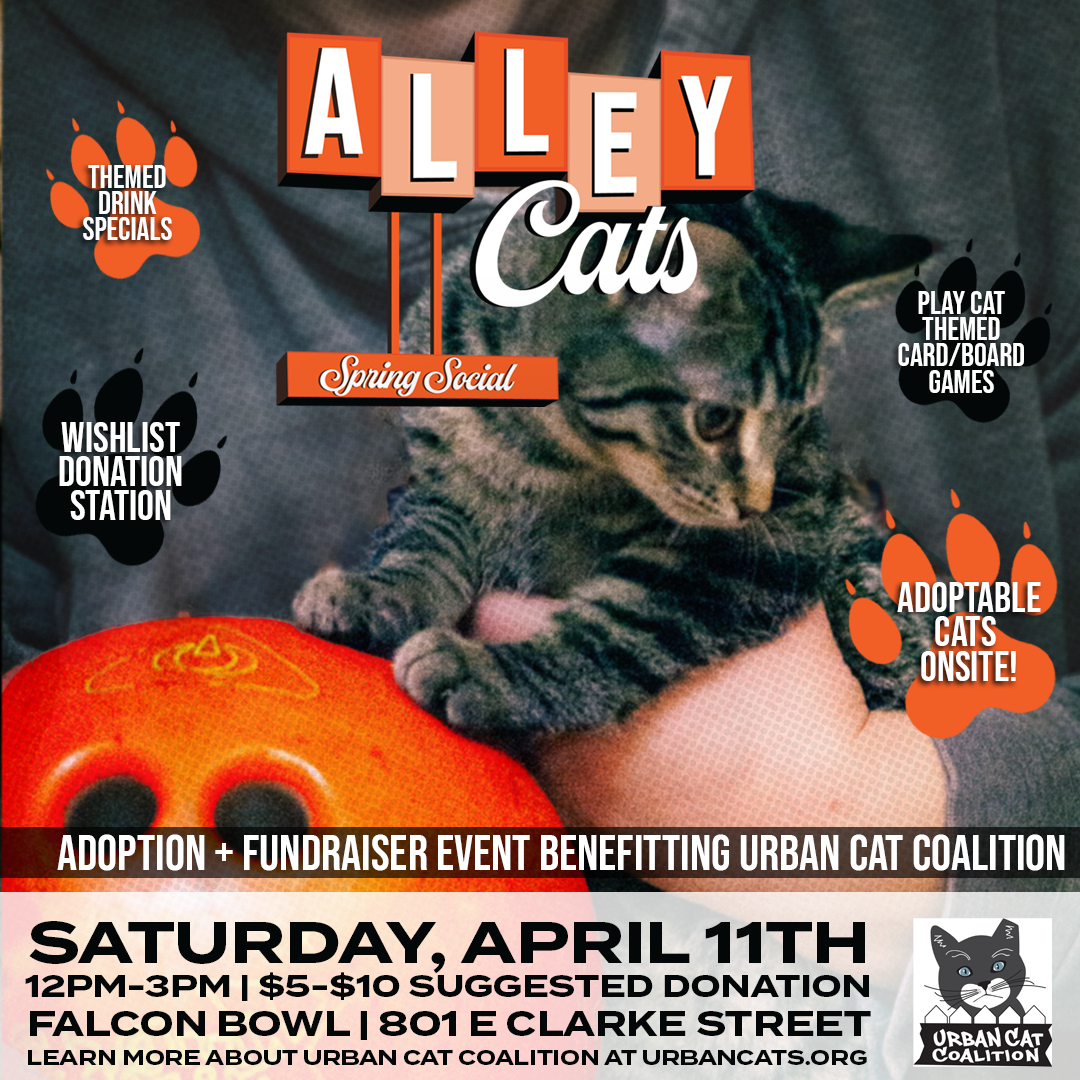 ALLEY CATS II: SPRING SOCIAL