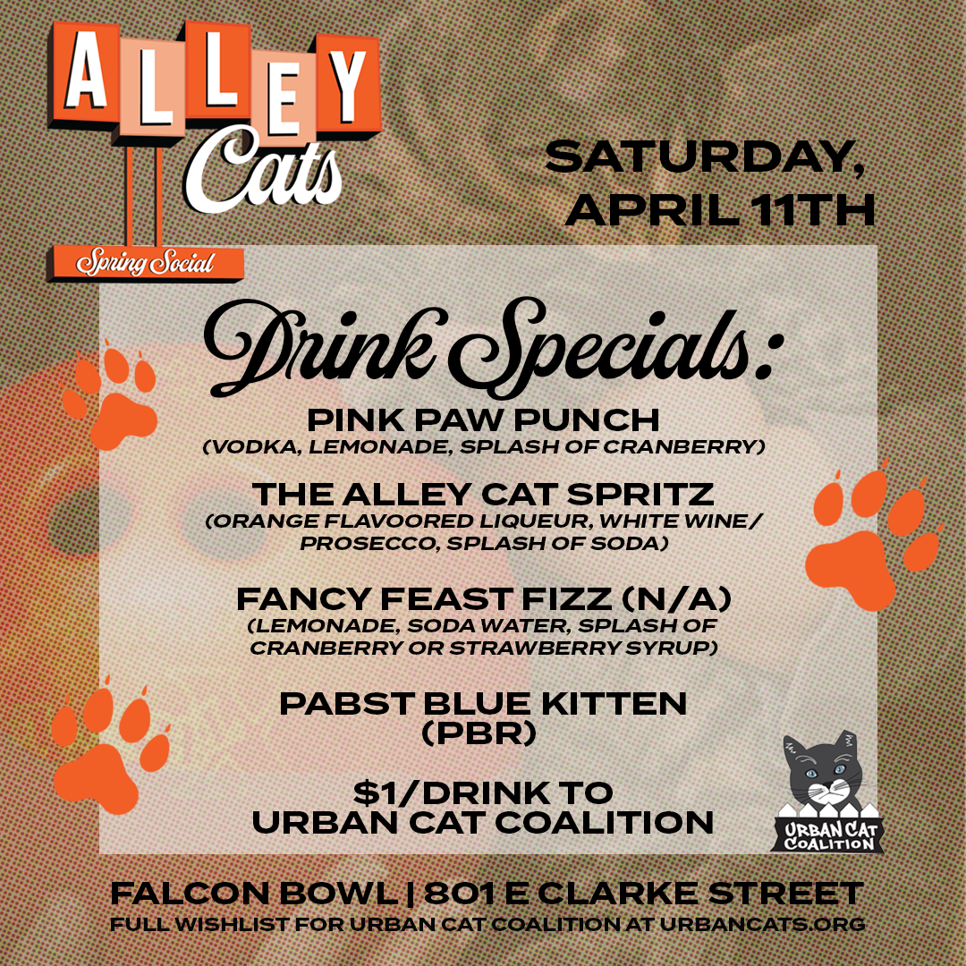 Alley-Cats-II-DETAILS-SLIDES-DRINKS-SQUARE_1.png