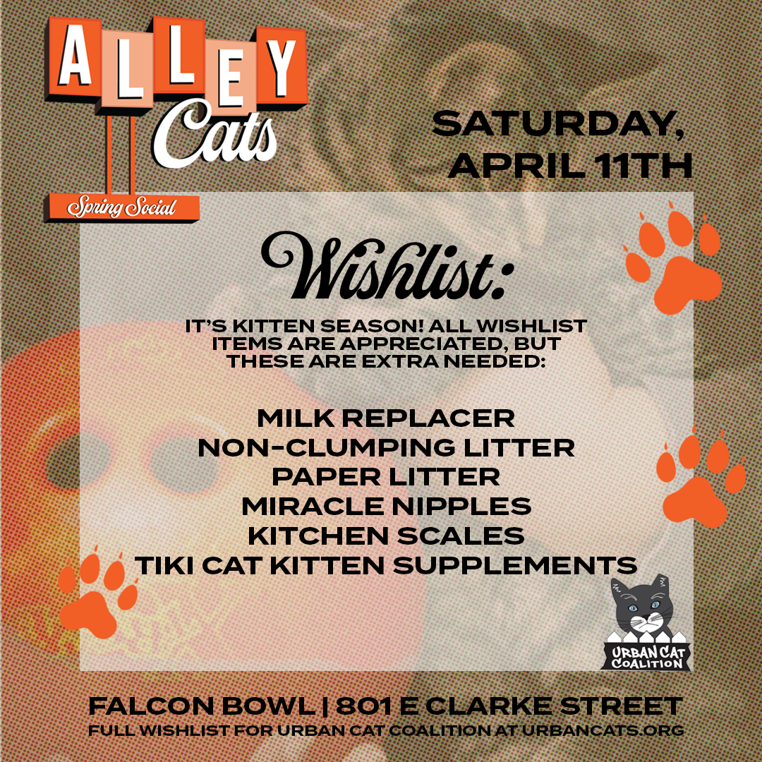 Alley-Cats-II-DETAILS-SLIDES-WISHLIST-SQUARE.png