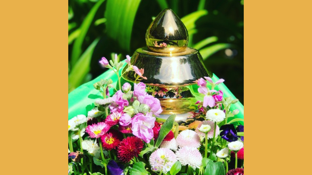 SPRING EQUINOX: Yang Guk