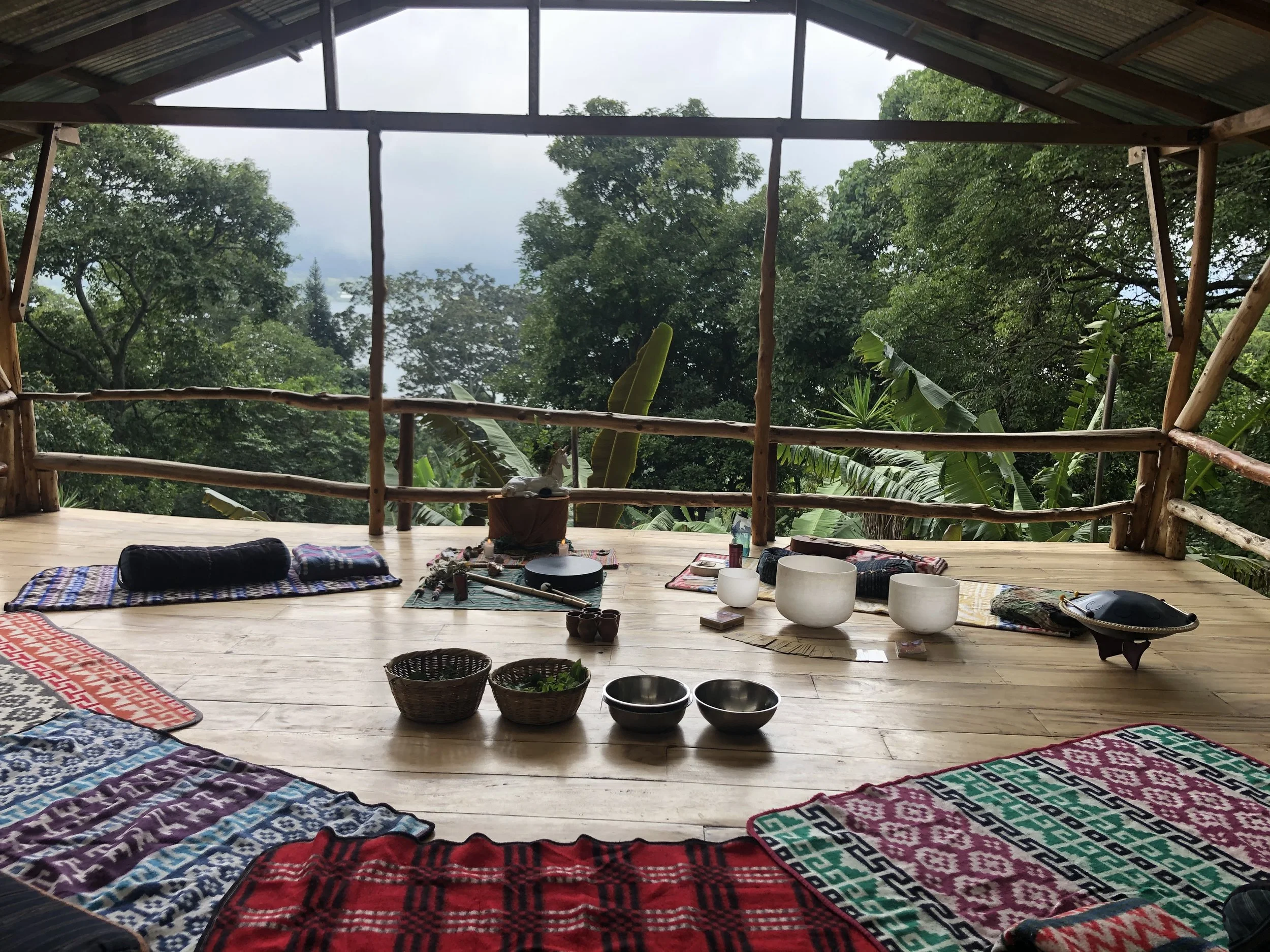 sound offering instruments with jungle backdrop