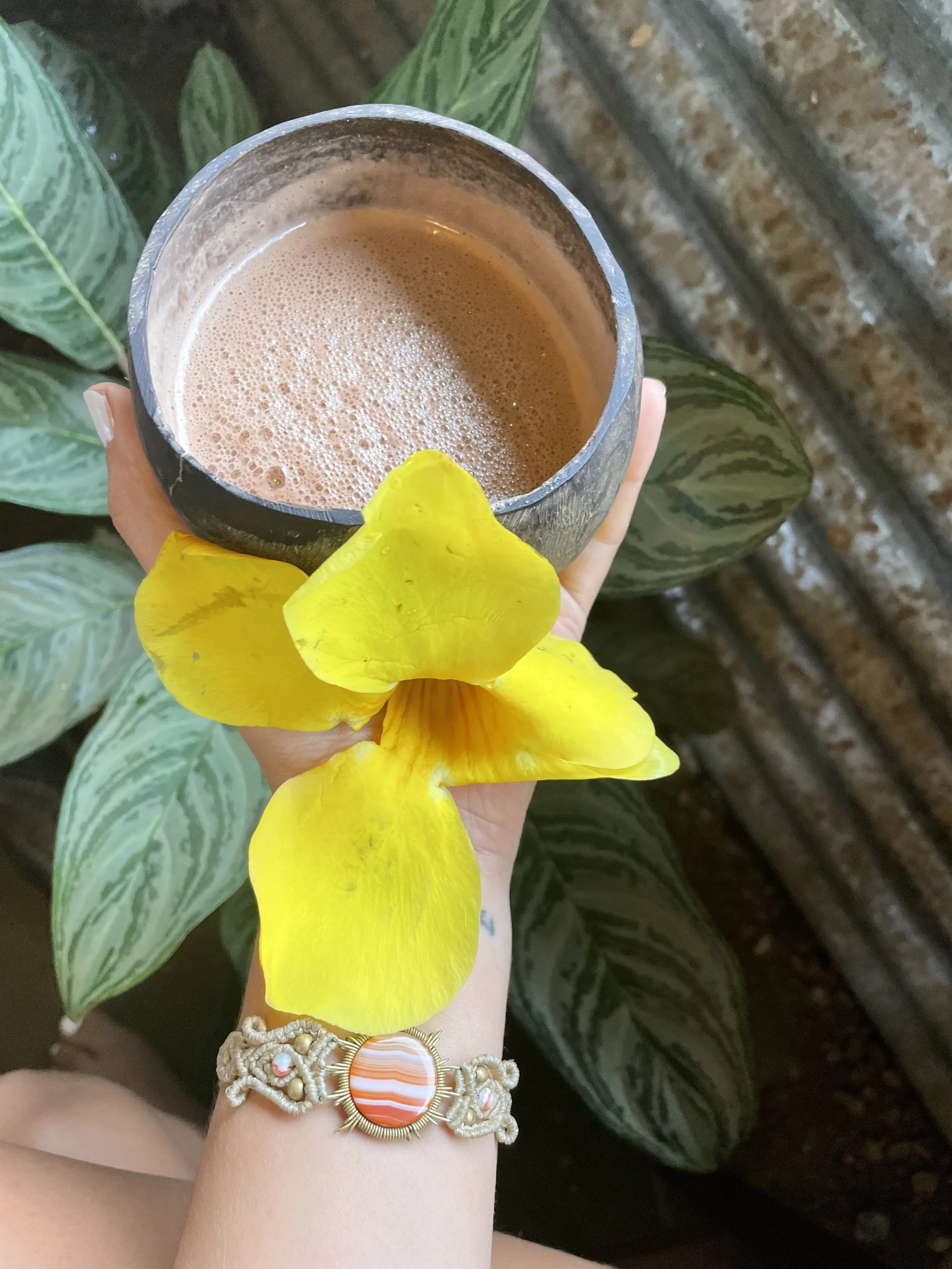 cacao in a coconut cup