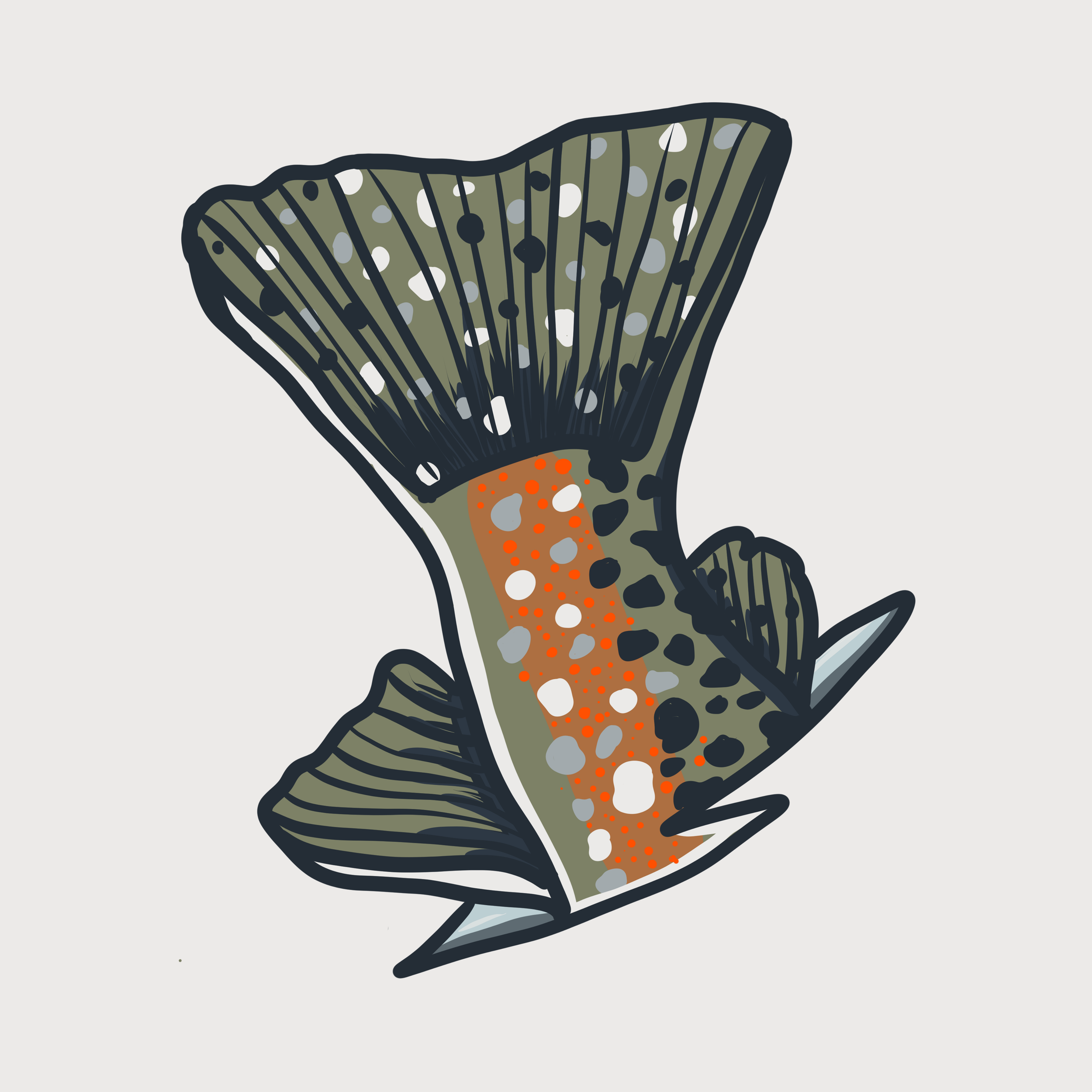 Stylized trout illustration created for Dilly Dahle Custom Rods branding and visual identity.