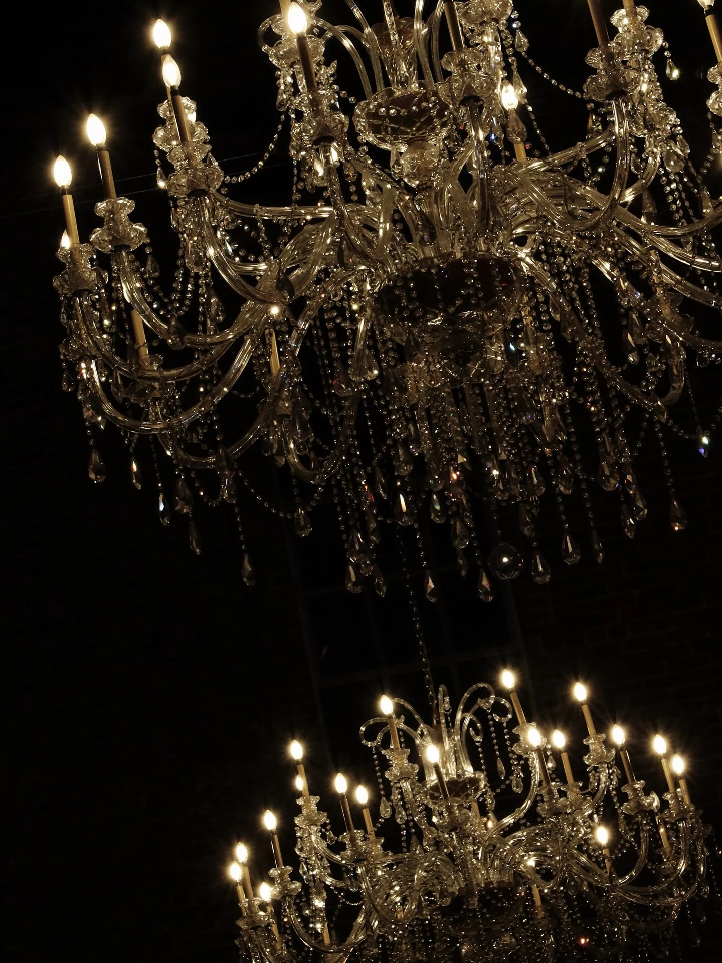 Detail Stills from Ashley + Hunter 12.20.25

Content shot for @day_of_bestie