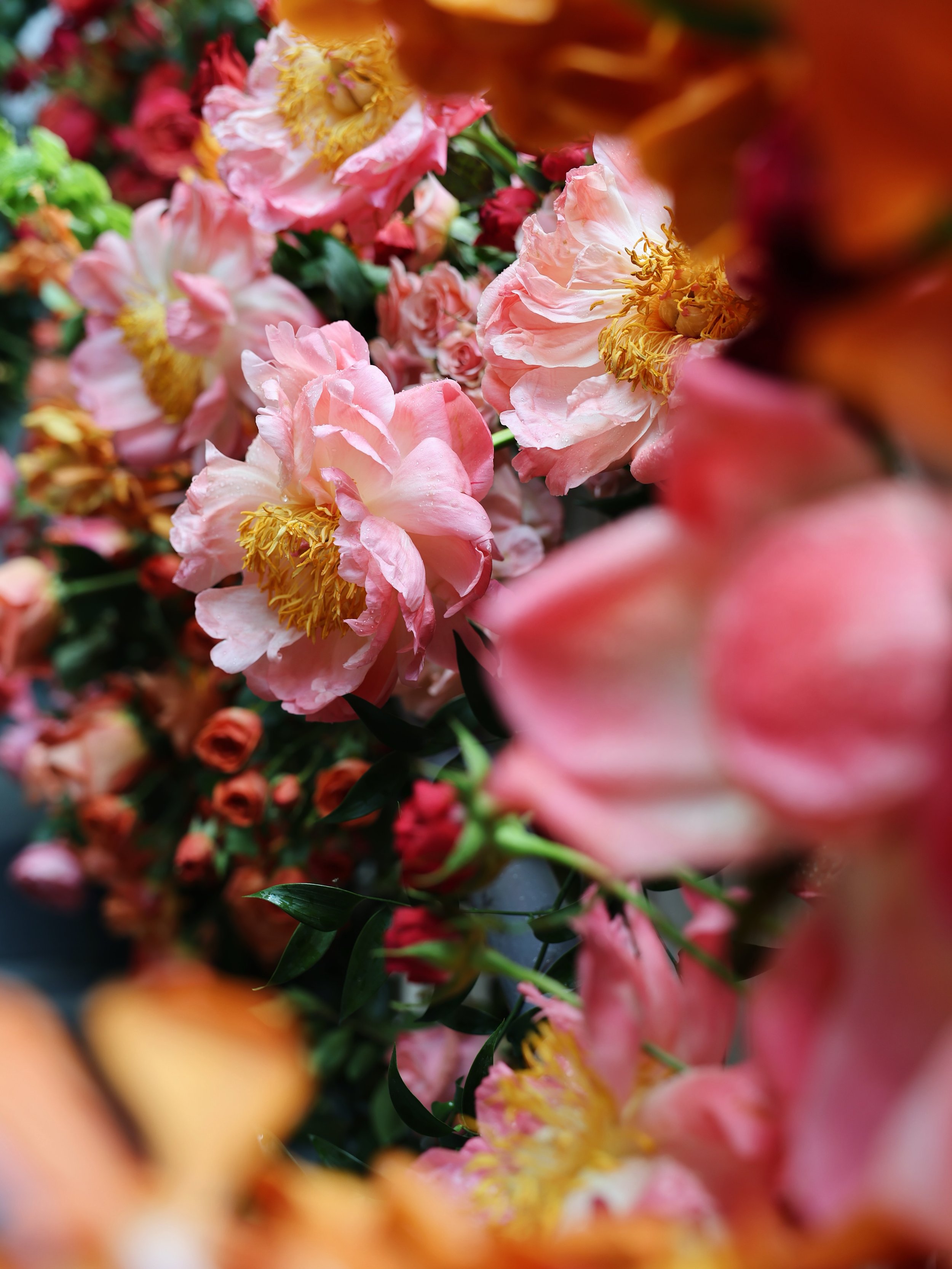 Because you all deserve flowers today 🌹🌸🌻🌼🌷🪻

Florals by @bellabloomsfloral