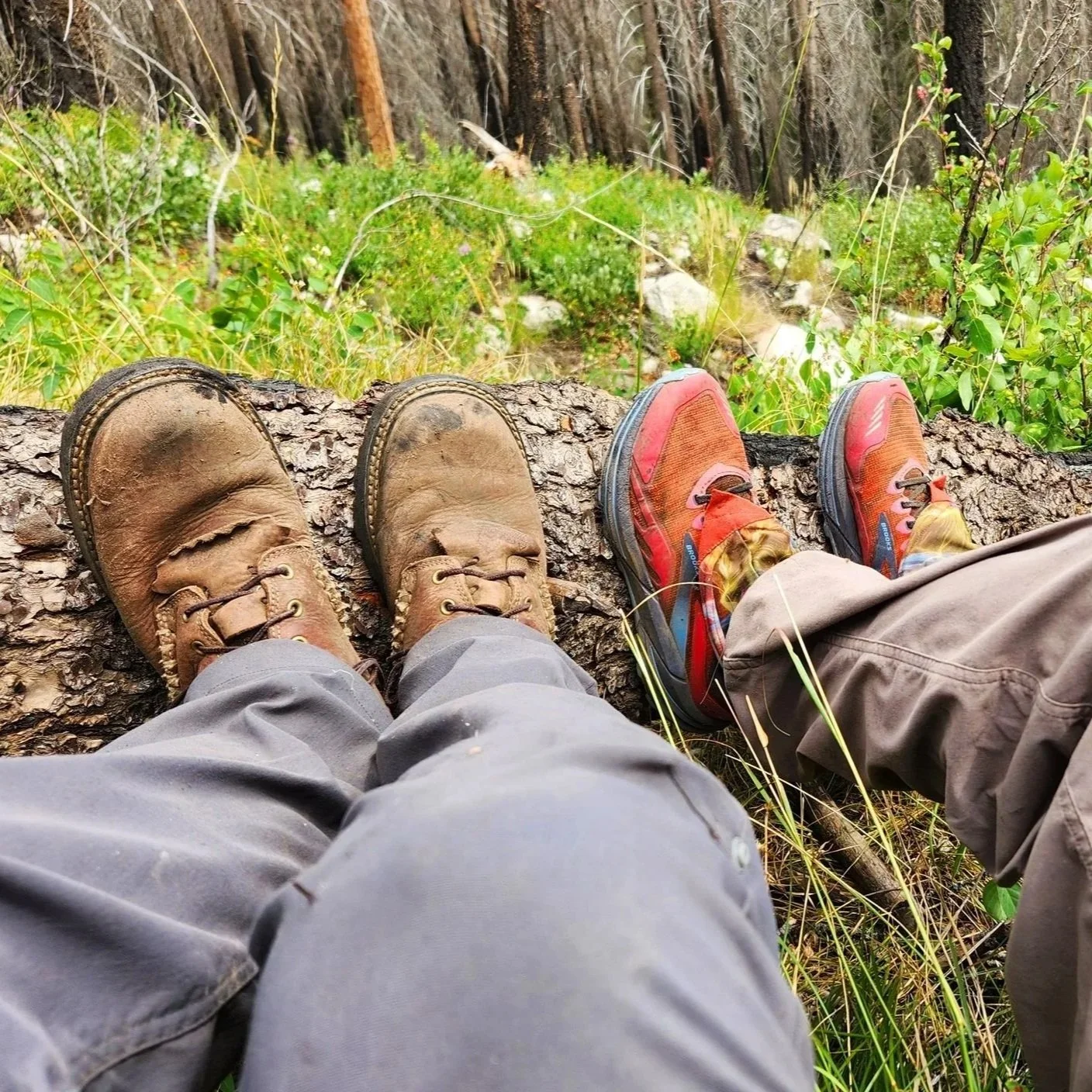 Two people lying down on a fallen tree trunk in a forest, with their legs and shoes visible. One person wears brown hiking boots and gray pants, the other wears red and gray trail shoes and beige pants, with greenery and trees in the background.