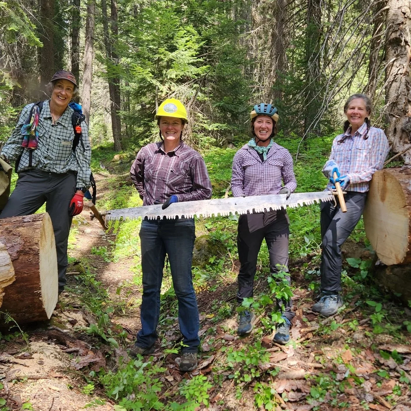 Four women in outdoor gear standing in a forest with trees and greenery, holding a large handsaw, smiling.
