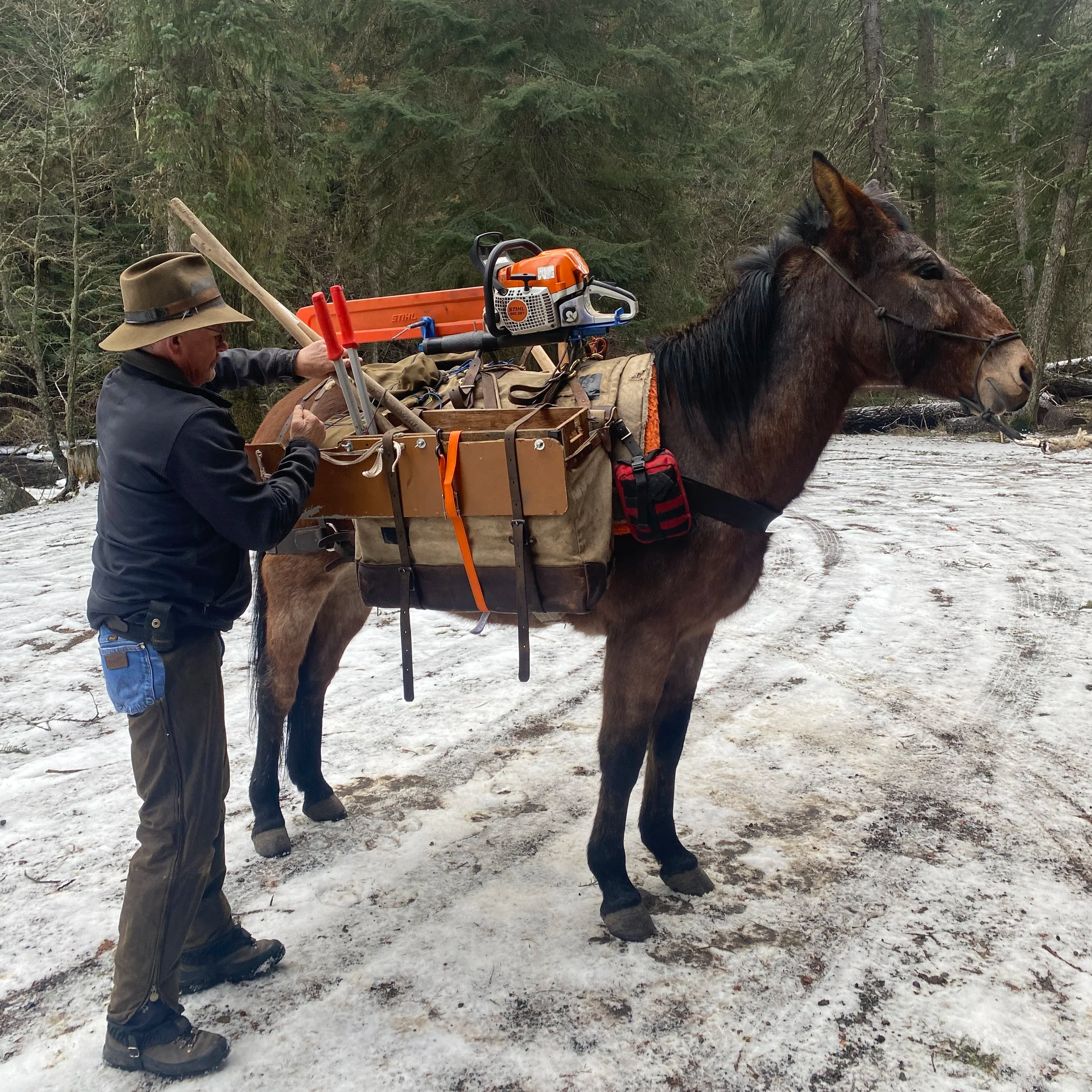 Lantz and JW help carrying the tools