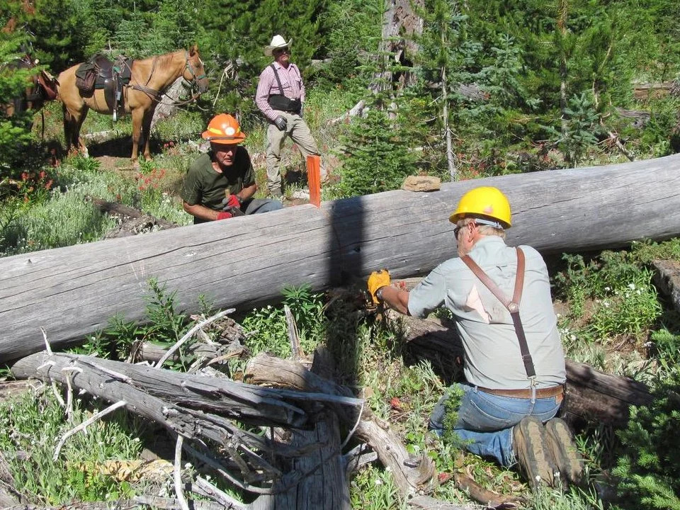 Bear Wallow Trail Recon