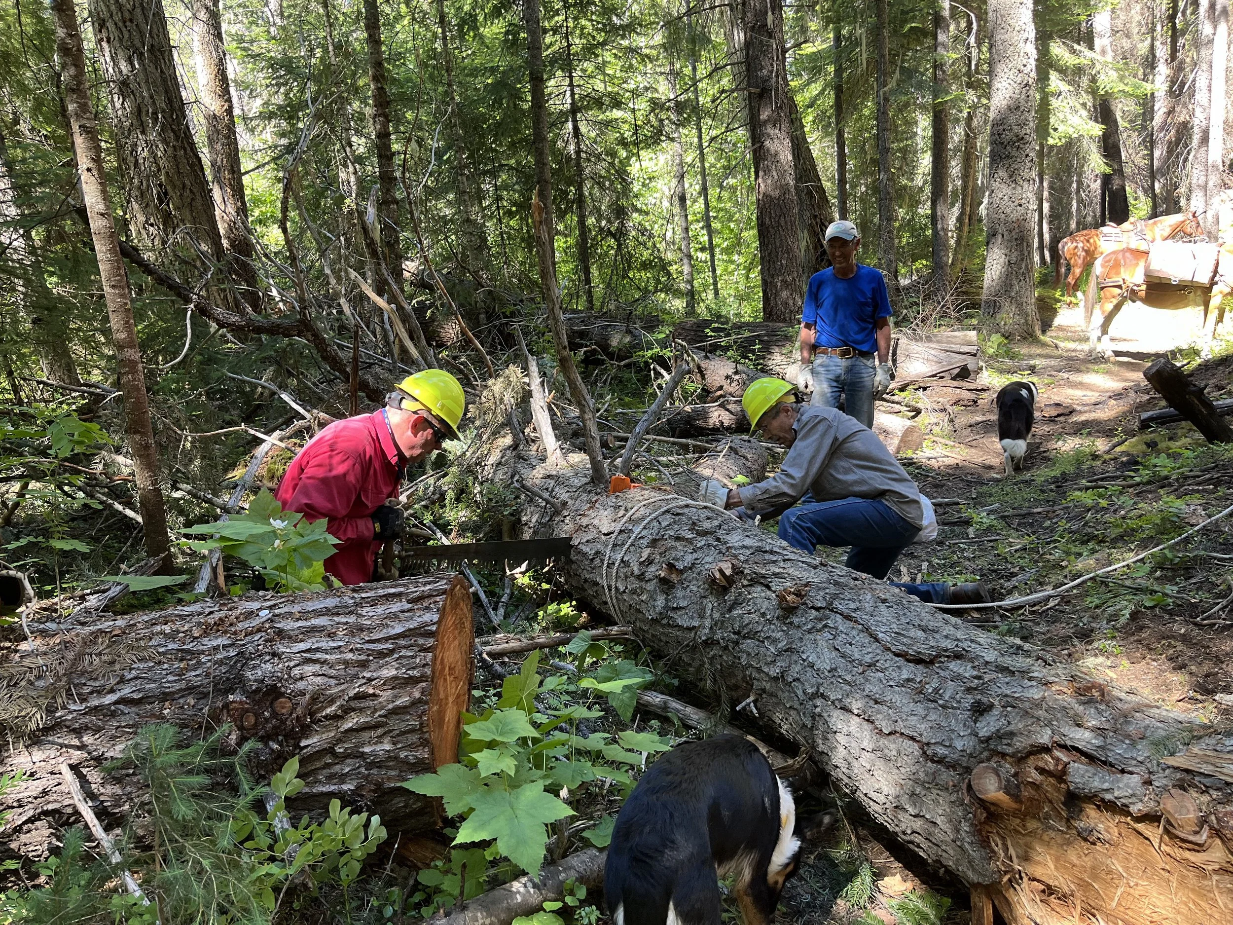 Middle Minam Trail #1673