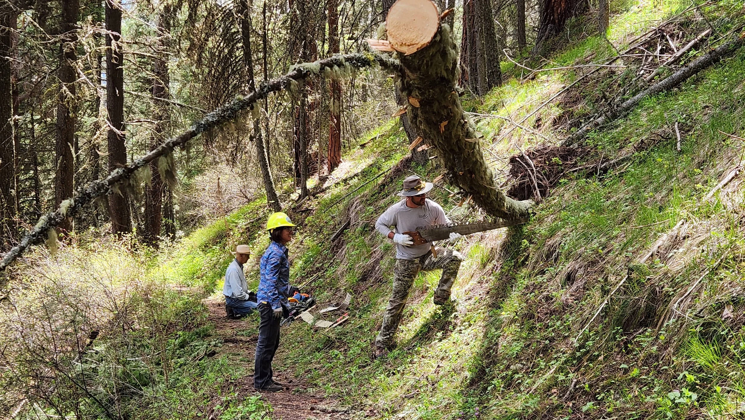 Chief Joseph Trail #1803 