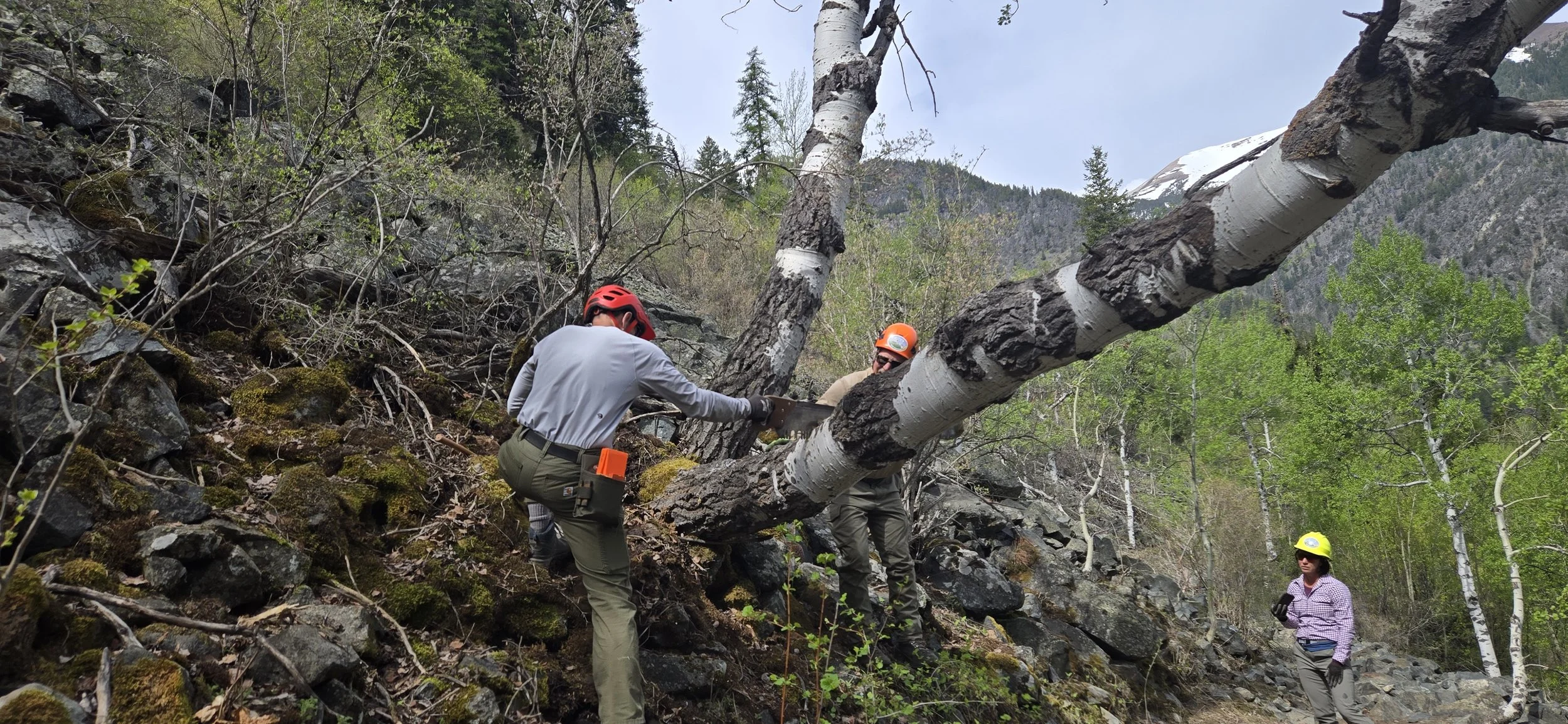 East Fork Wallowa River #1804