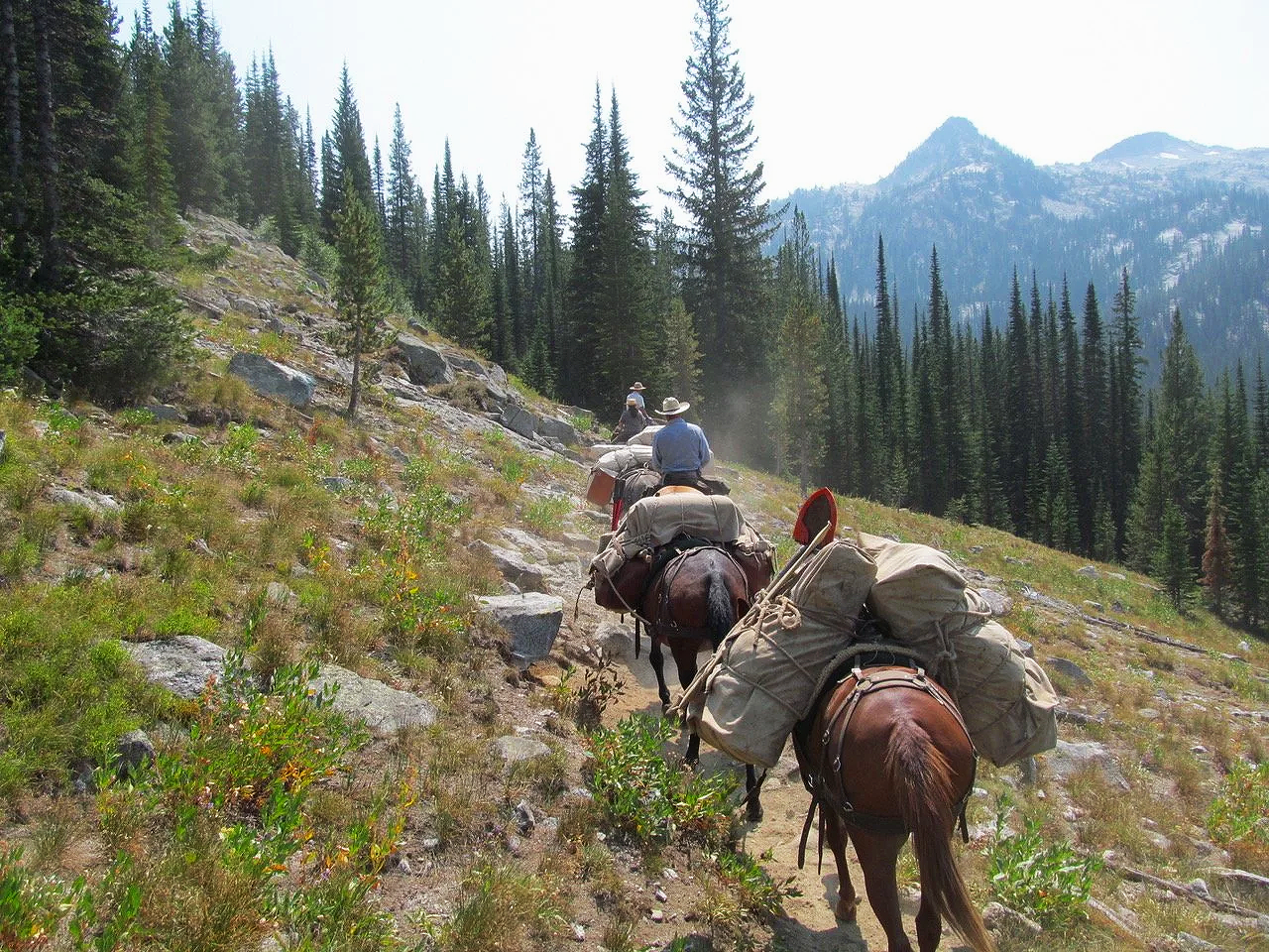 Granite Gulch Trail #1676