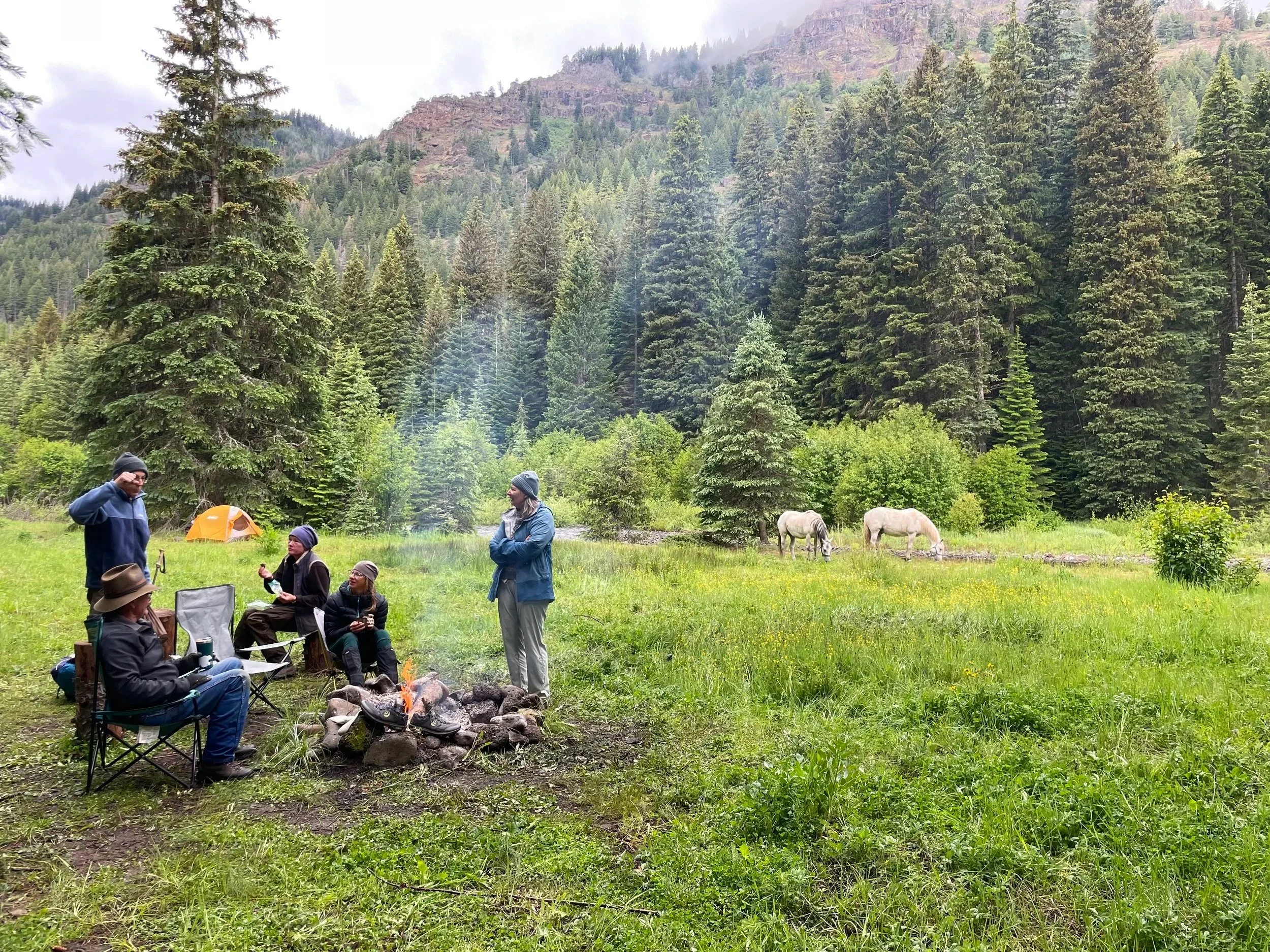 Dobbin/Crib Point Trail Project