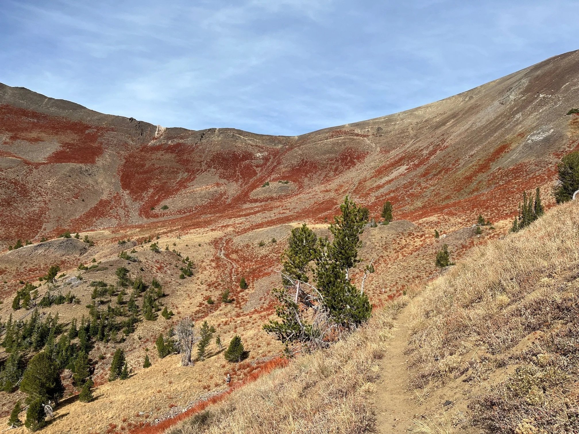 Polaris Pass Trail #1831 &amp; #1820