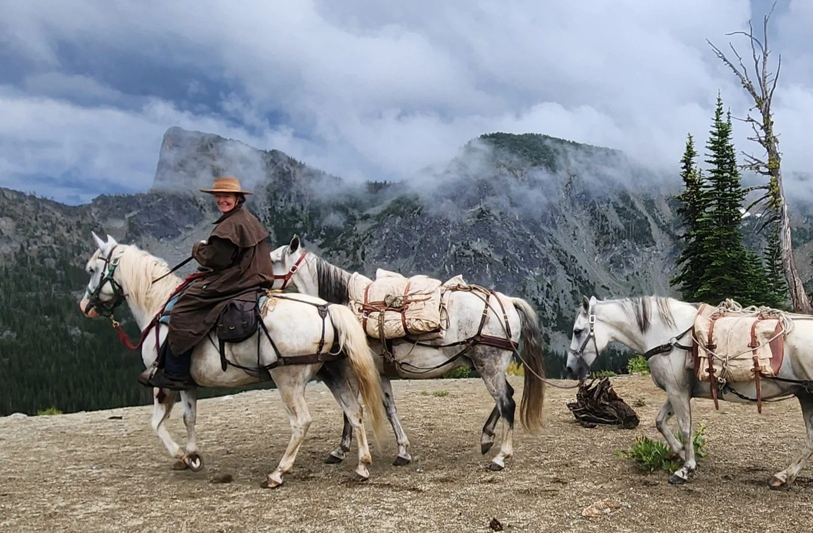 Stock Handling & Safety