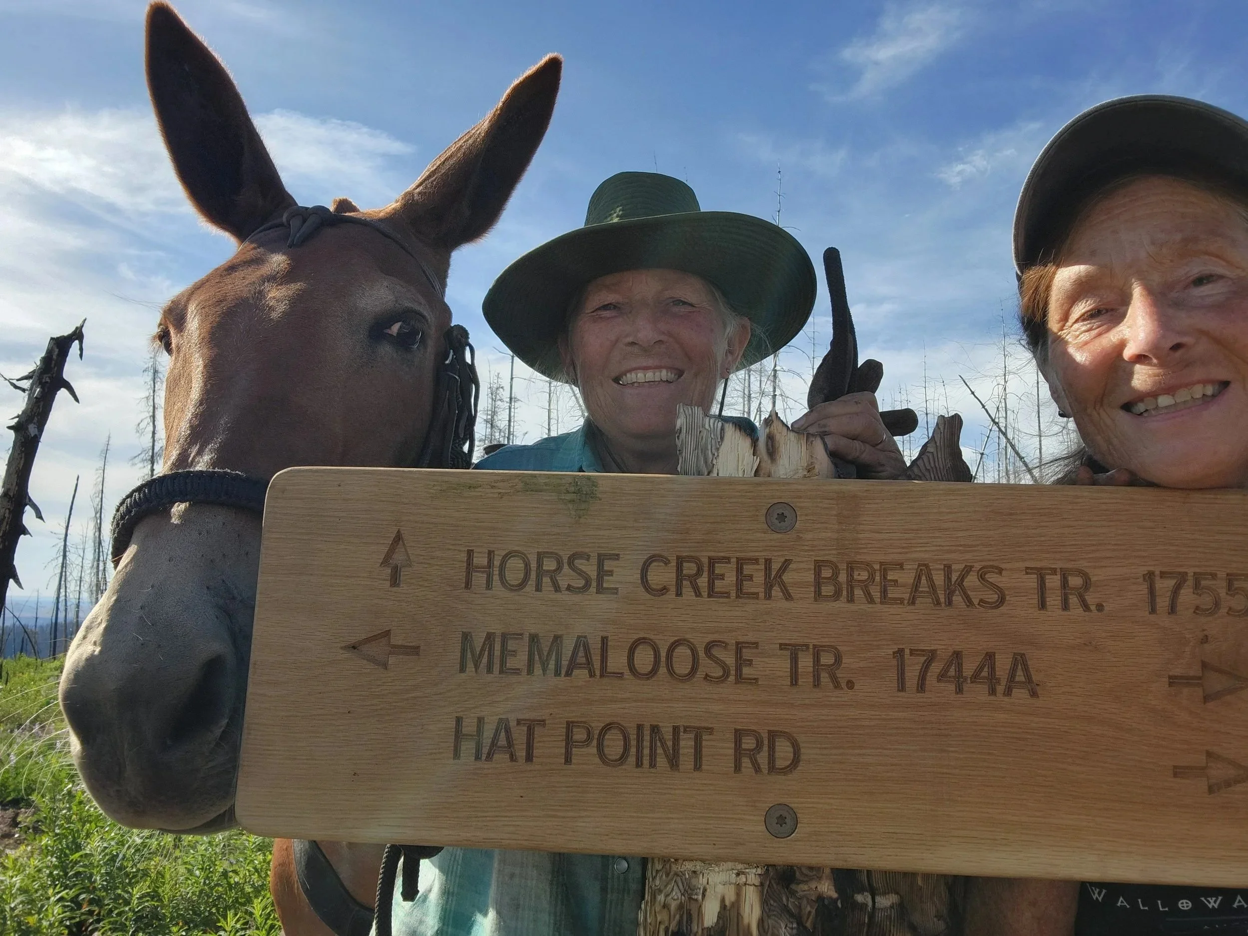 Two smiling women and a donkey behind a wooden trail sign on a mountain in a sunny, partly cloudy sky, with a background of tall, leafless trees.