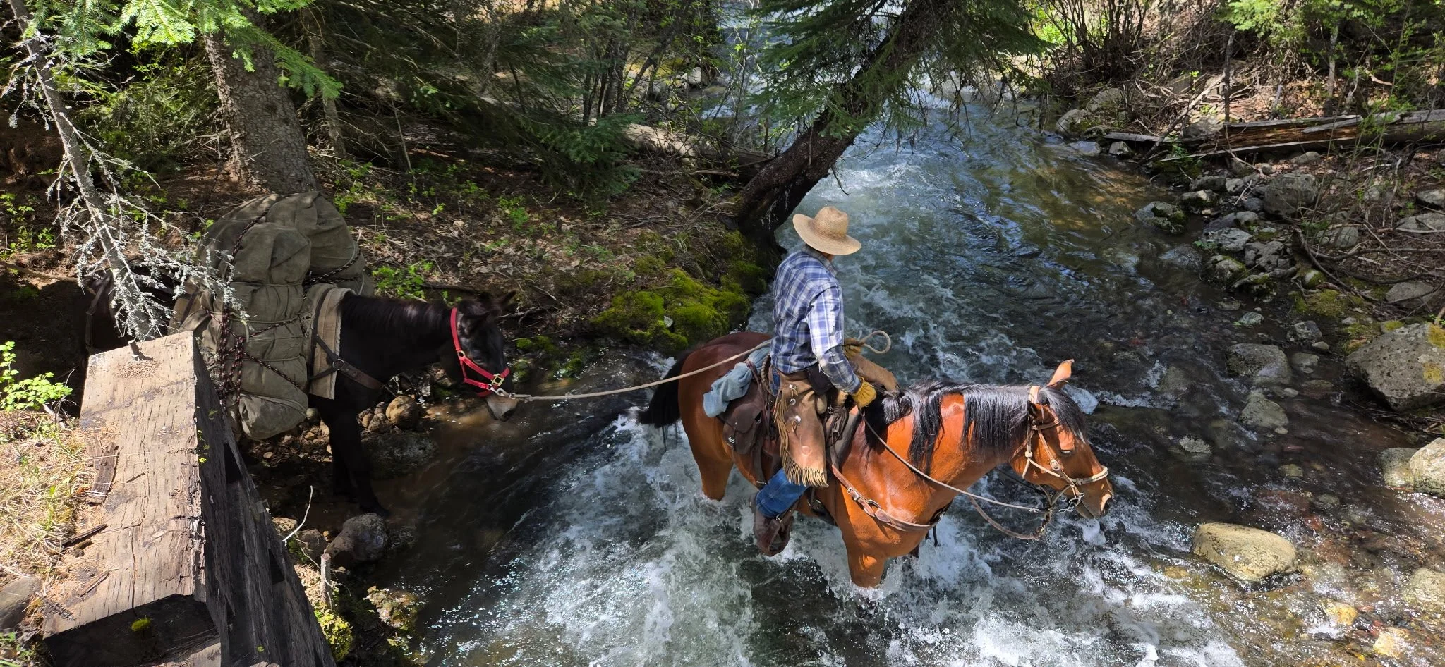 528788013978068580 (1).jpg