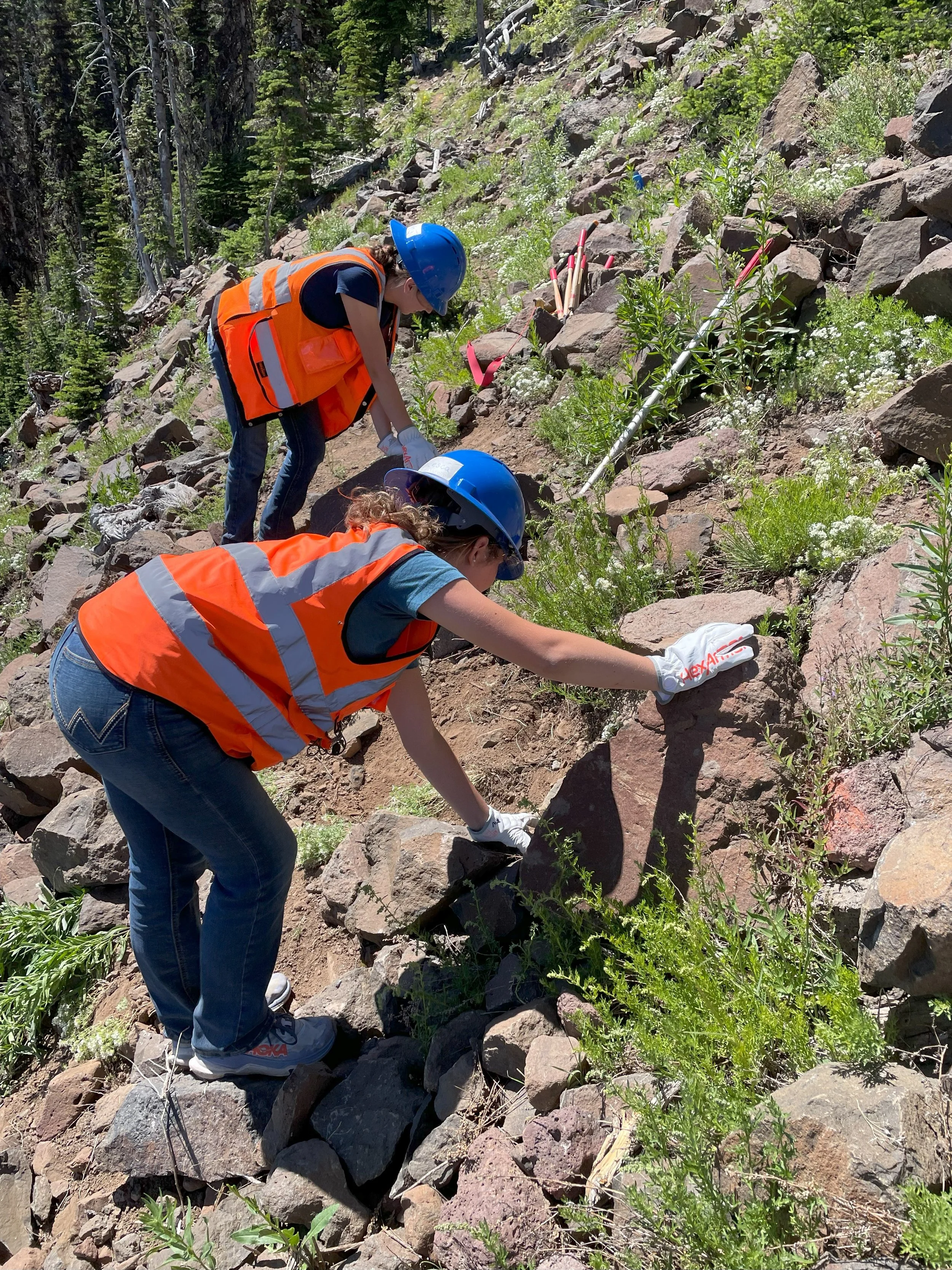 Two women wearing orange safety vests and blue helmets are working on a rocky hillside, planting or cleaning up plants with gardening tools. They are surrounded by trees and vegetation.