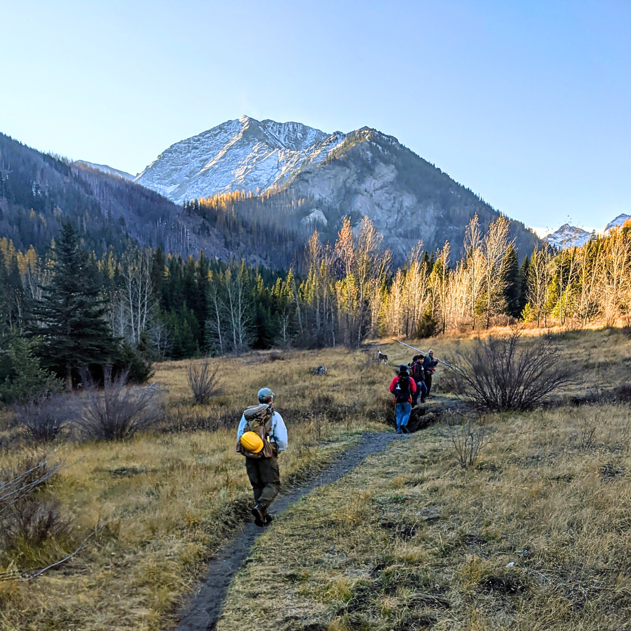 Untitled design (4).png