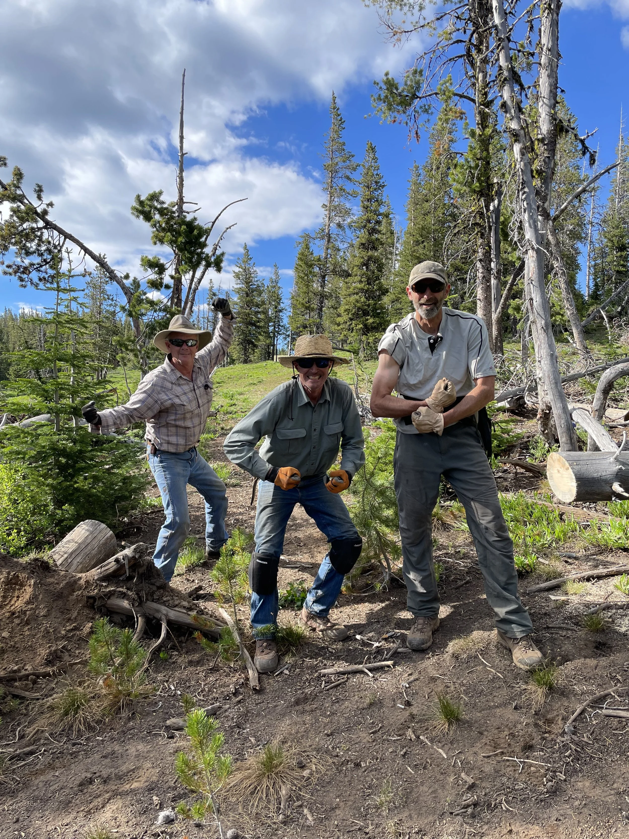 Three men are hiking in a forest, smiling and posing for the camera, surrounded by tall trees and blue sky with clouds.