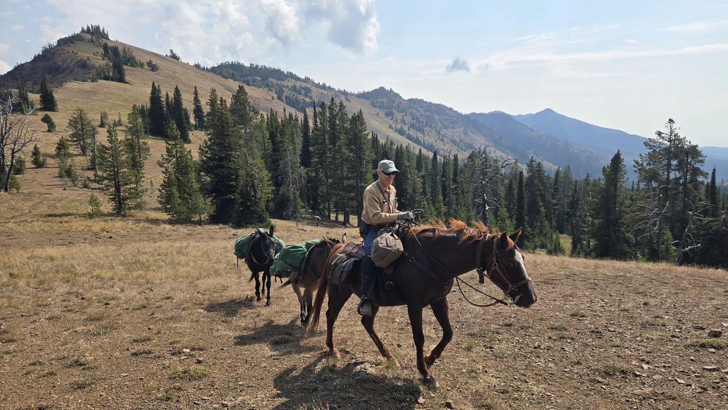 Copy of 20250910_115328.jpg