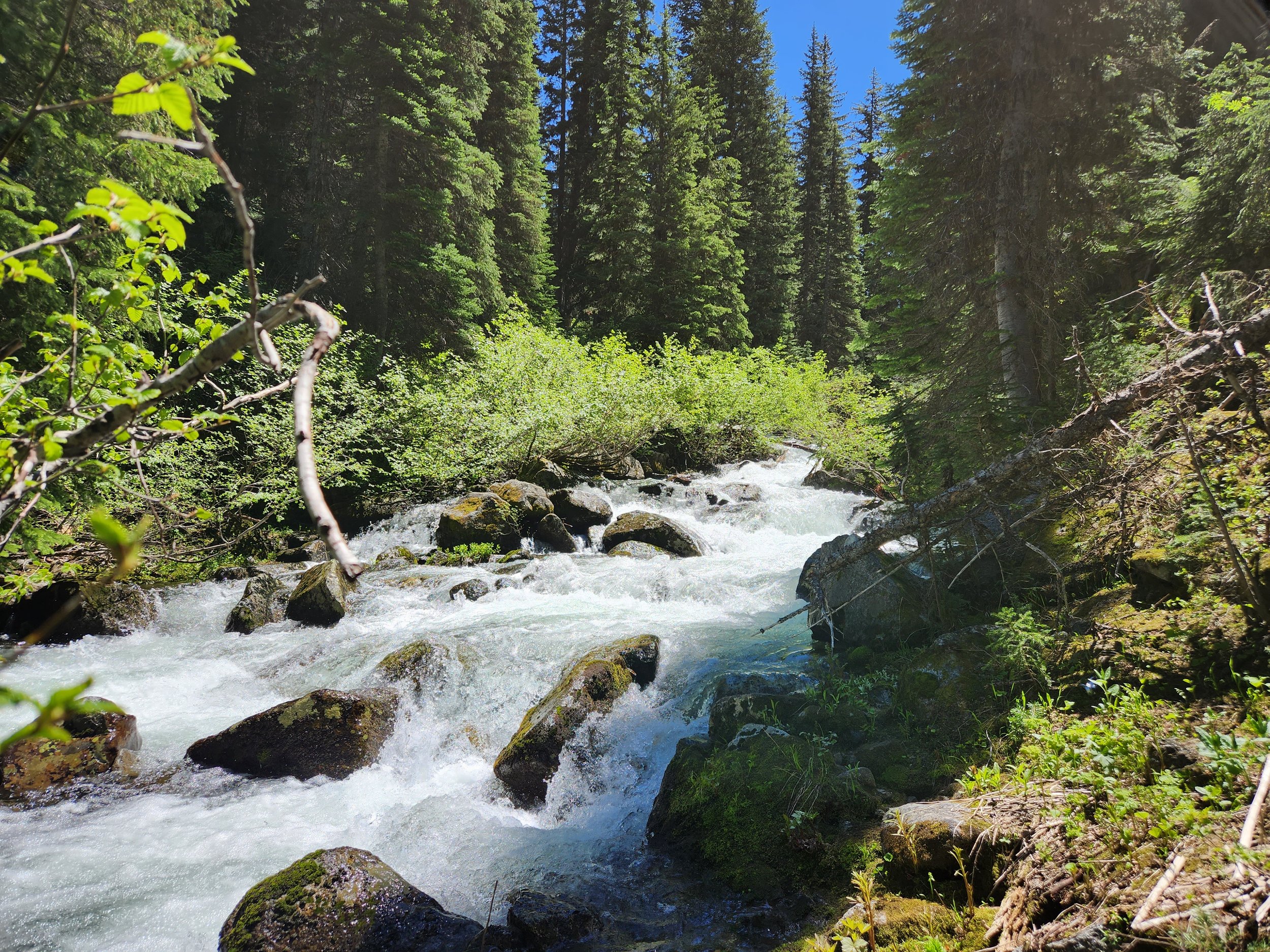 Lifetime Couple/Family Membership