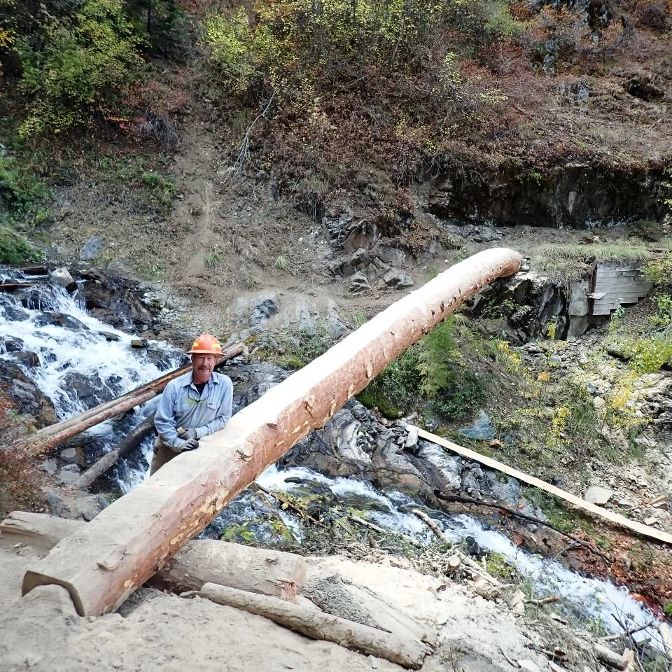 A man wearing a safety helmet and gloves stands on a muddy slope in front of a fallen tree that crosses a small stream in a wooded area.