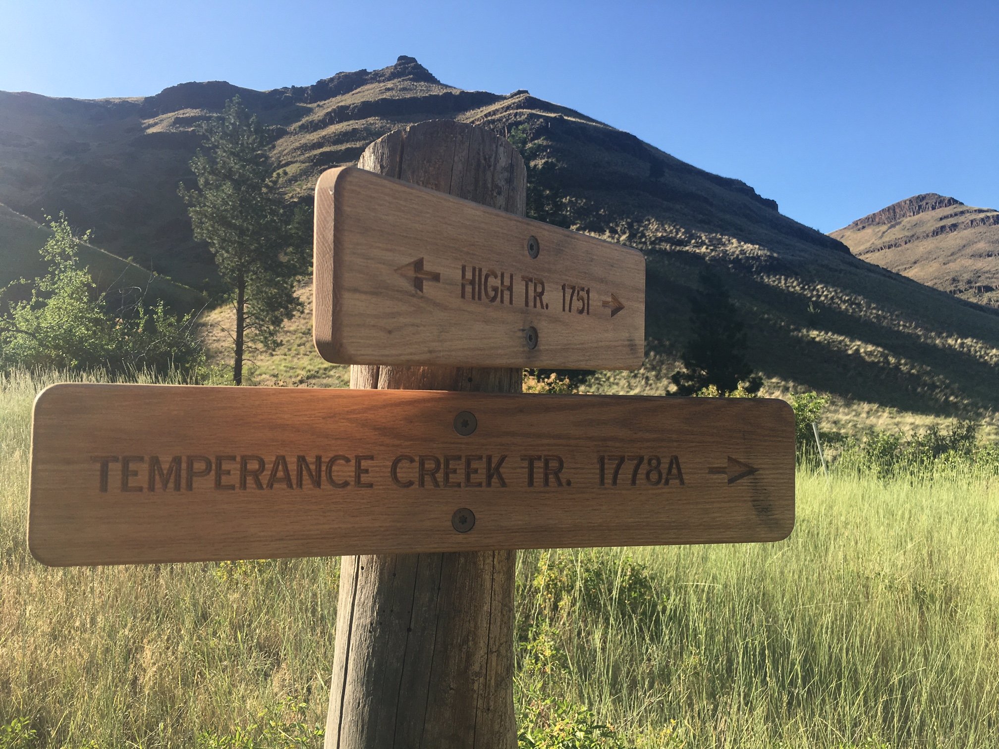 Trail signpost with two wooden arrows indicating directions to High Trail and Temperance Creek Trail, located in a grassy area with mountains and trees in the background under a clear blue sky.
