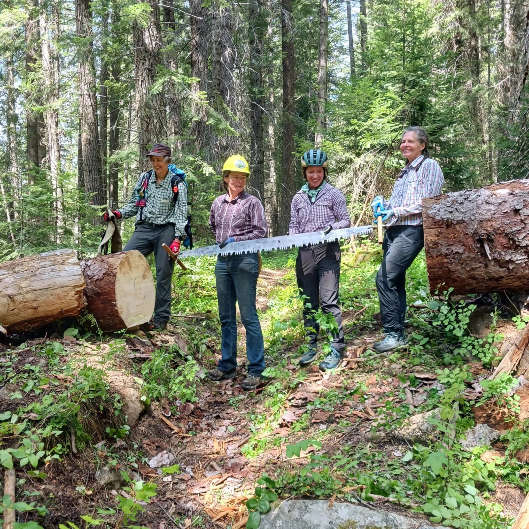 Four women in outdoor work gear standing in a forest, holding a large saw between two fallen logs, smiling and engaging in a logging or forestry activity.